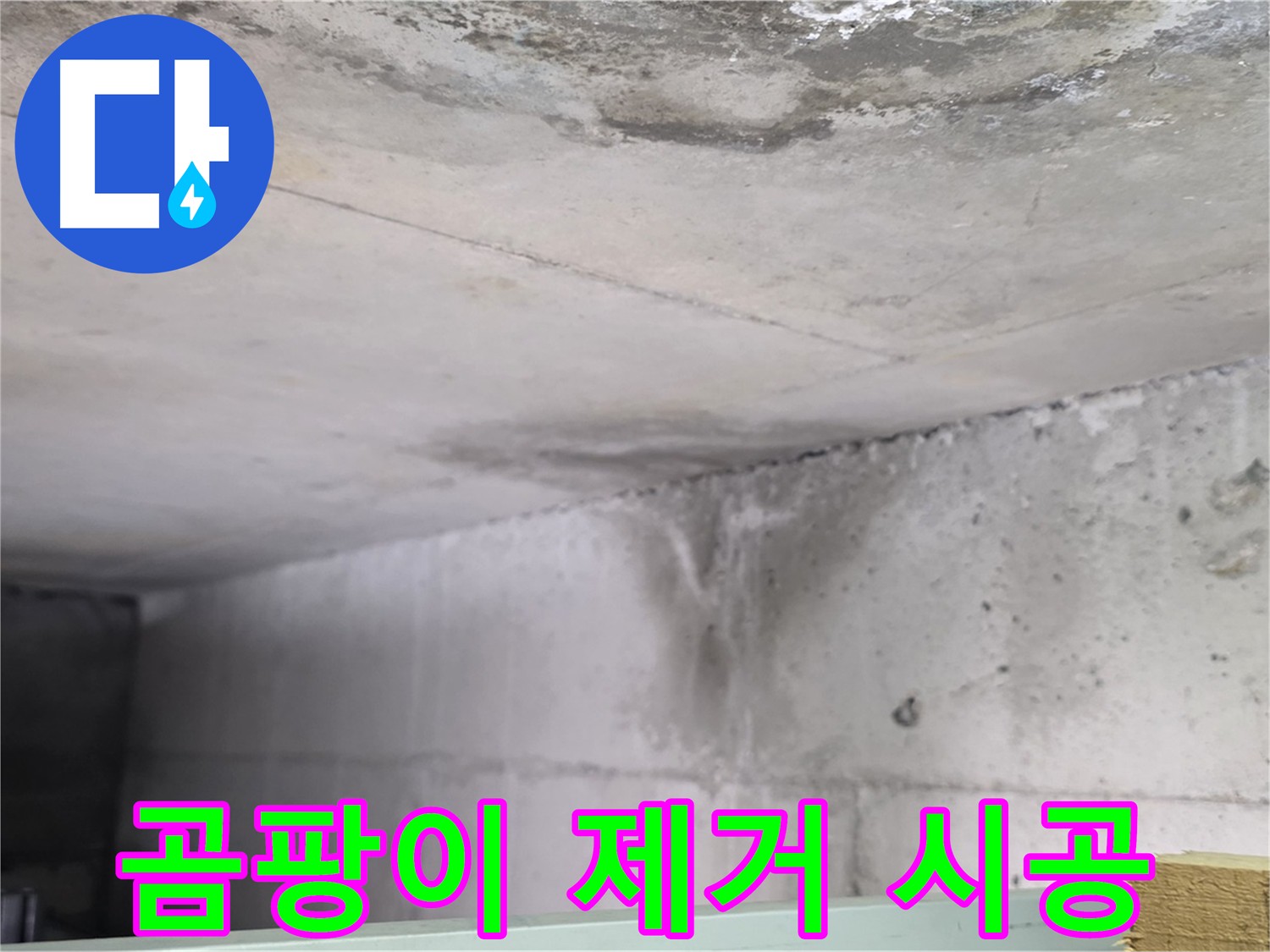 아랫집 천장 누수와 곰팡이 - 덕이동 누수, 곰팡이 제거 및 방지 시공