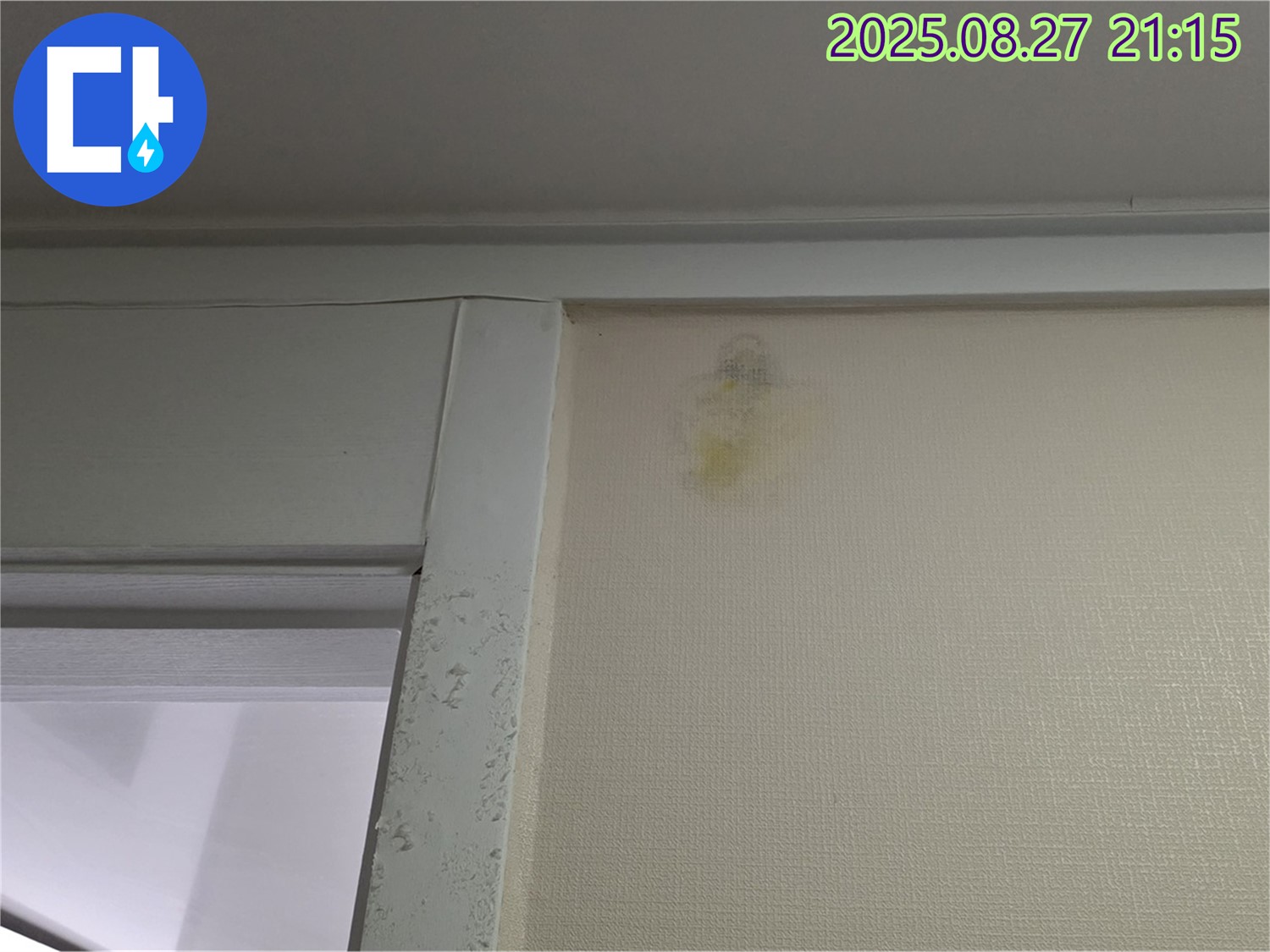 벽 얼룩 - 분당구 운중동 산운마을 6단지에서 발견된 벽 얼룩입니다 - 누수 전문가가 해결합니다.