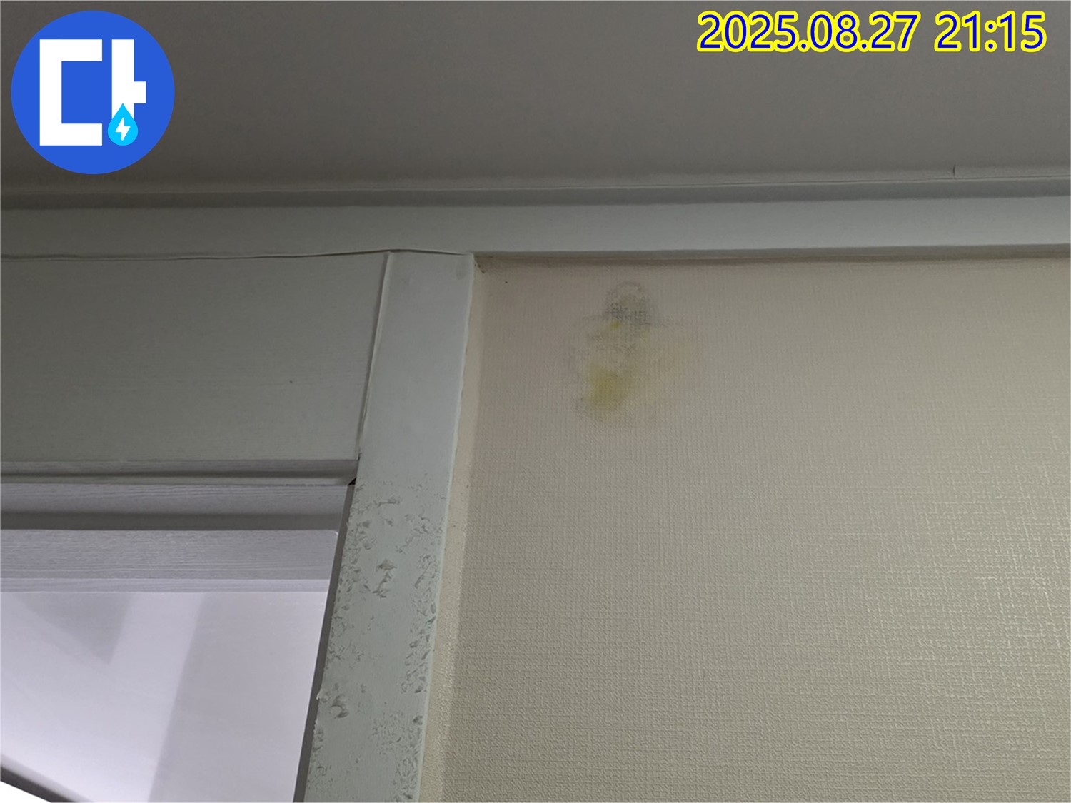 벽 곰팡이 - 산운마을 6단지에서 발견된 벽 곰팡이 현장을 촬영한 사진입니다 - 누수 전문가가 곰팡이까지 해결해 드립니다.