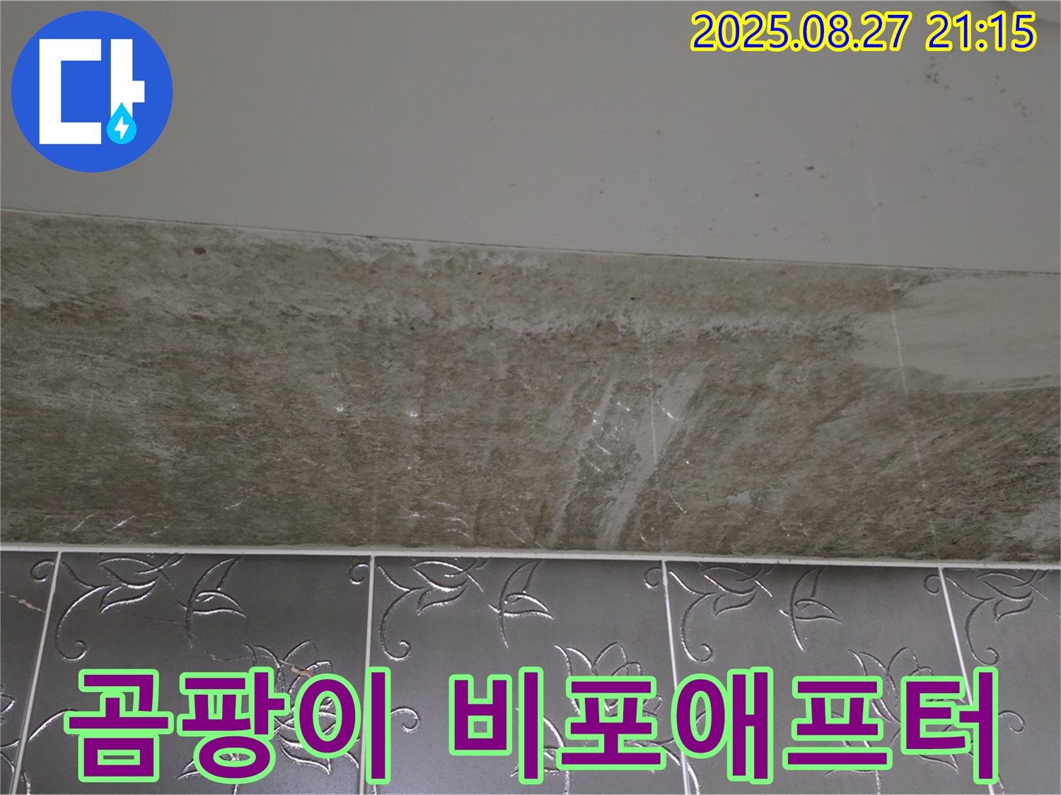 곰팡이 심한 욕실 - Before & After 공개