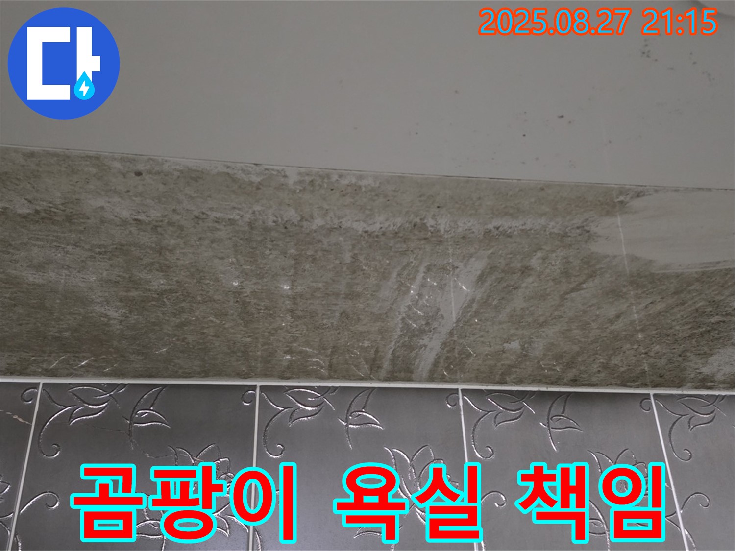 곰팡이 핀 욕실 - 100% 책임 시공 약속