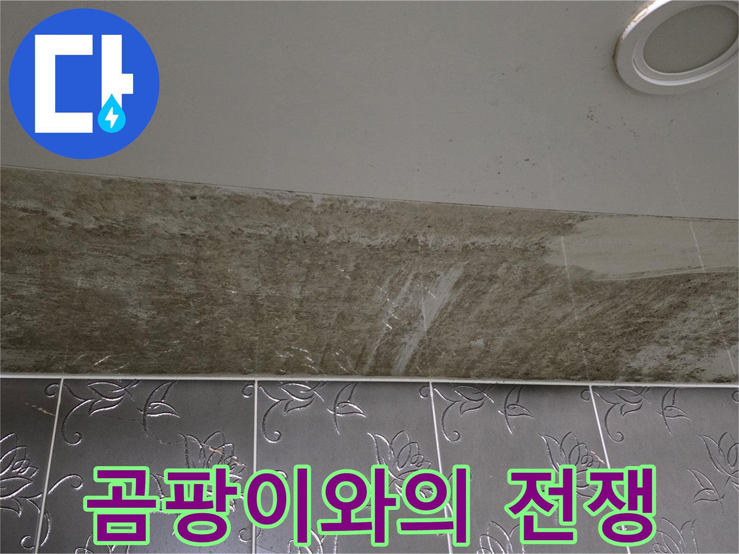 곰팡이 핀 화장실 천장 - 곰팡이와의 전쟁 선포