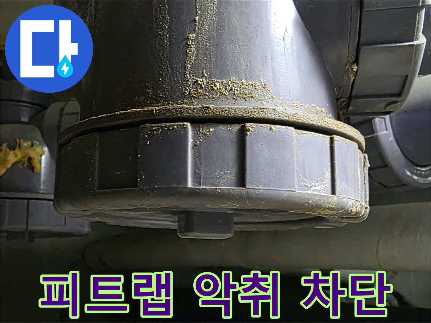 피트랩 누수로 인한 악취와 하수 역류 - U자 배관의 중요성