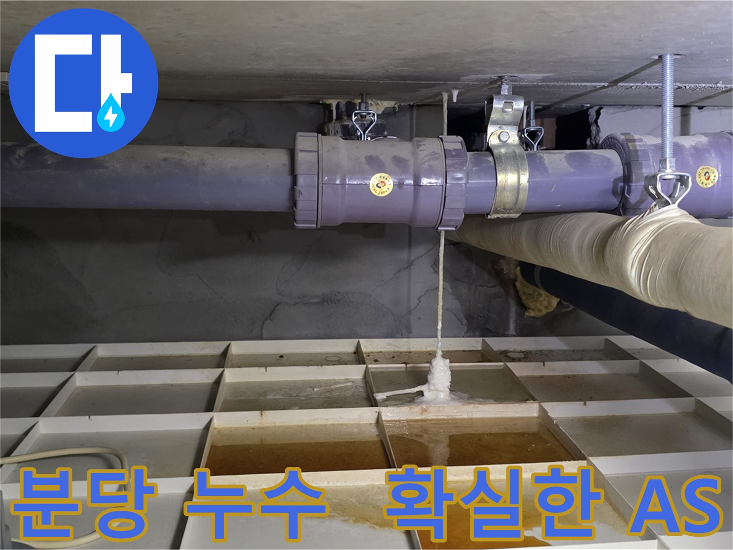 분당 하수 배관 누수 공사 - A/S 보장 및 책임 시공