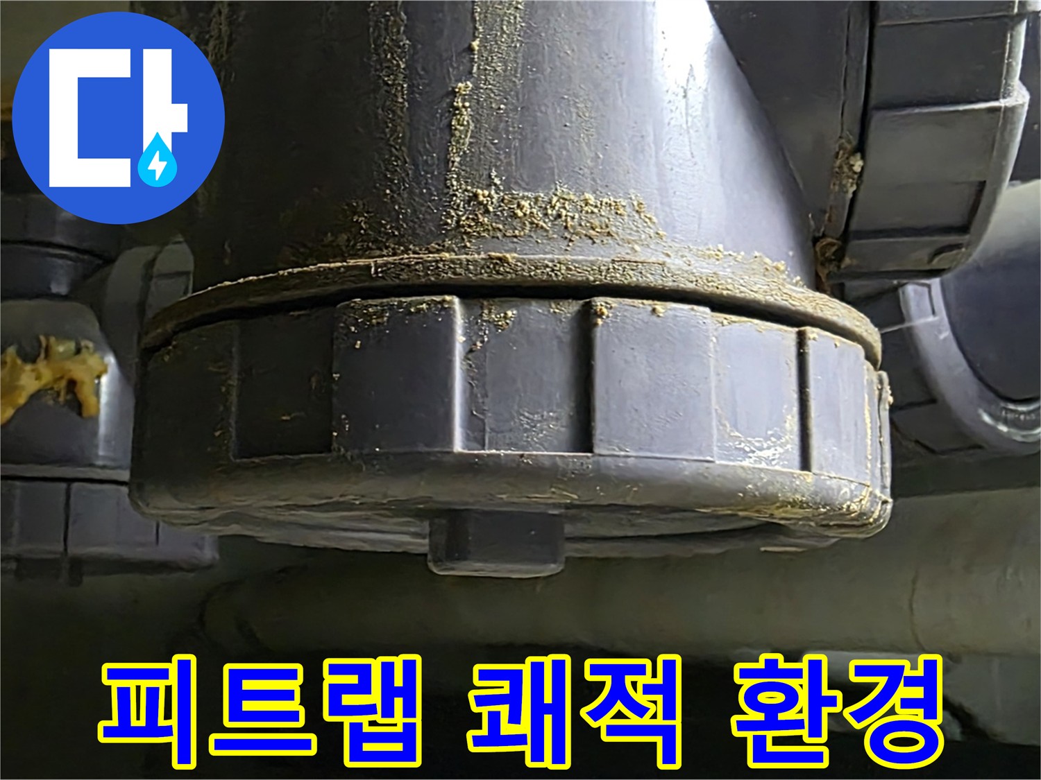 성남 피트랩 누수 - 쾌적한 환경 유지를 위한 배수관 관리