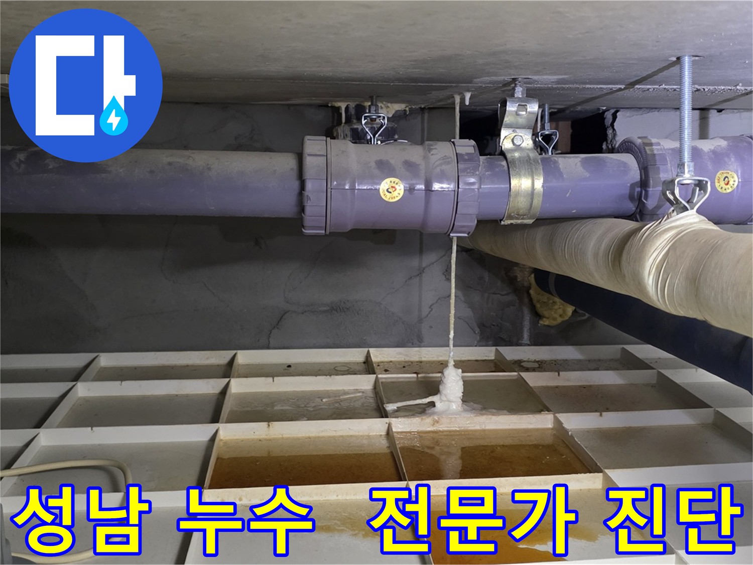 성남 하수 배관 누수 - 누수 전문가의 정확한 진단과 해결책