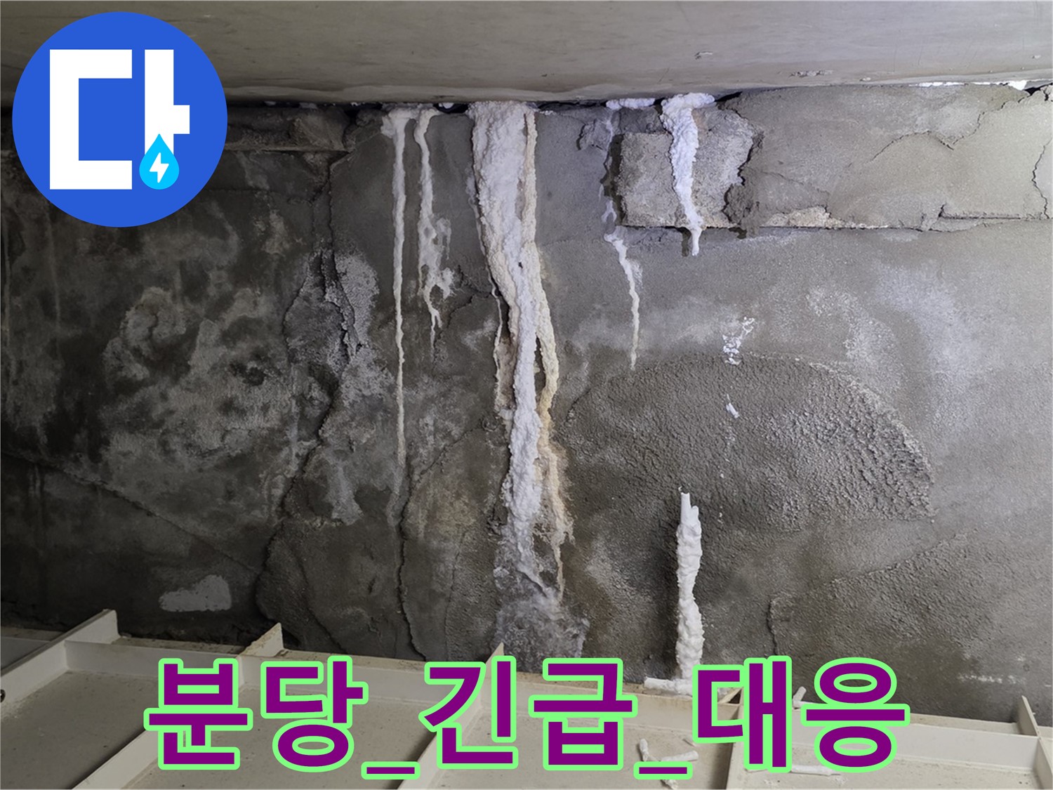 분당 콘크리트 누수 - 신속한 긴급 대응
