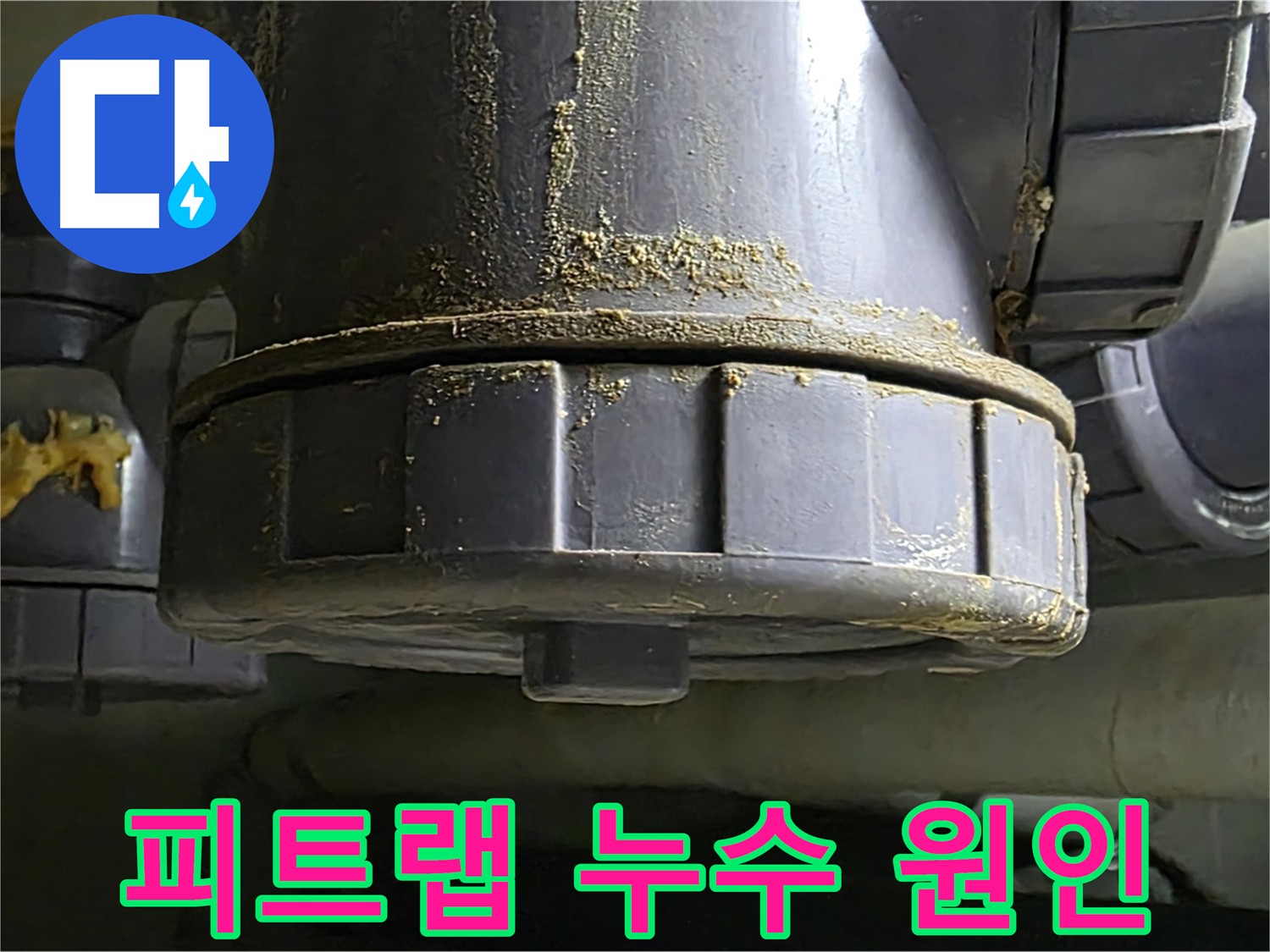 피트랩 손상으로 인한 누수 - 배수구 악취와 벌레 차단의 문제