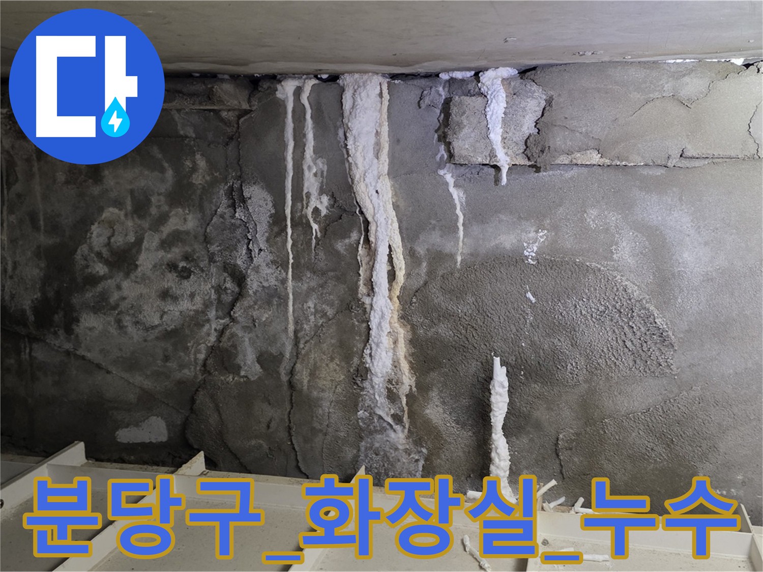분당 화장실 누수 - 노후화된 방수층 파괴로 인한 벽면 손상