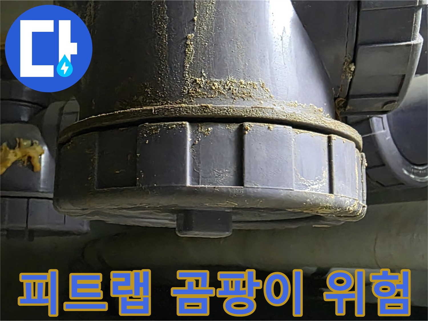 운중동 피트랩 손상 - 곰팡이 위험과 배수구 악취 문제 해결