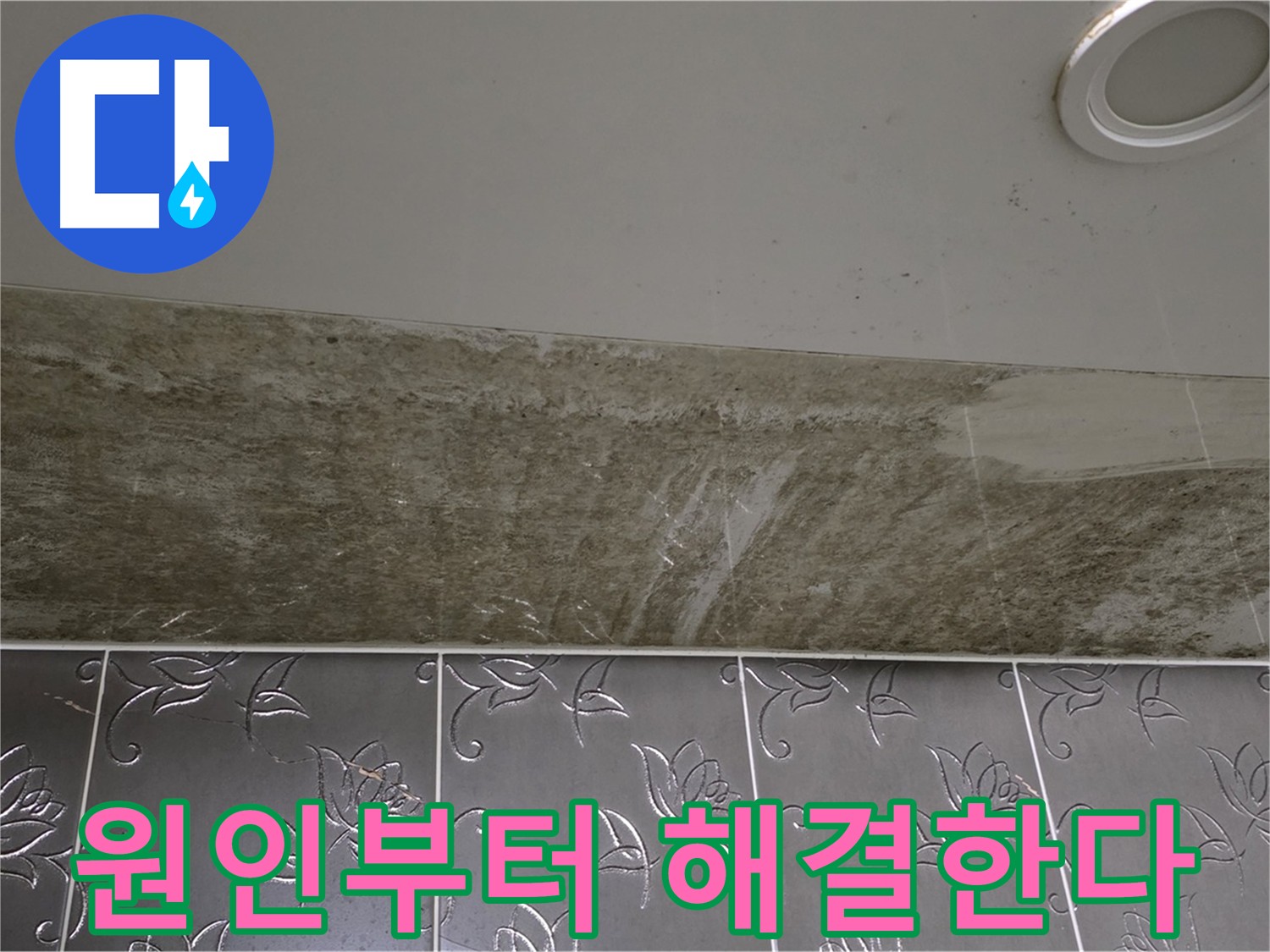 곰팡이 핀 화장실 천장 - 원인부터 확실하게 해결
