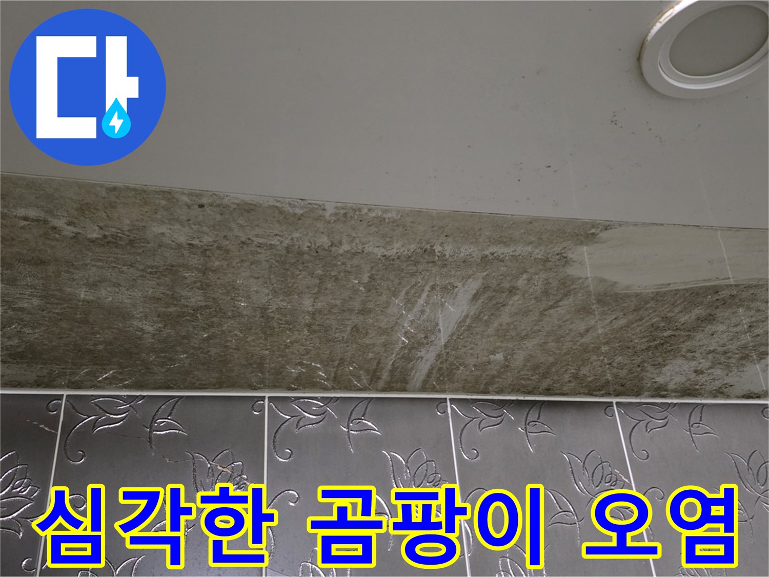 화장실 천장 누수 - 심각한 곰팡이 오염으로 인한 피해