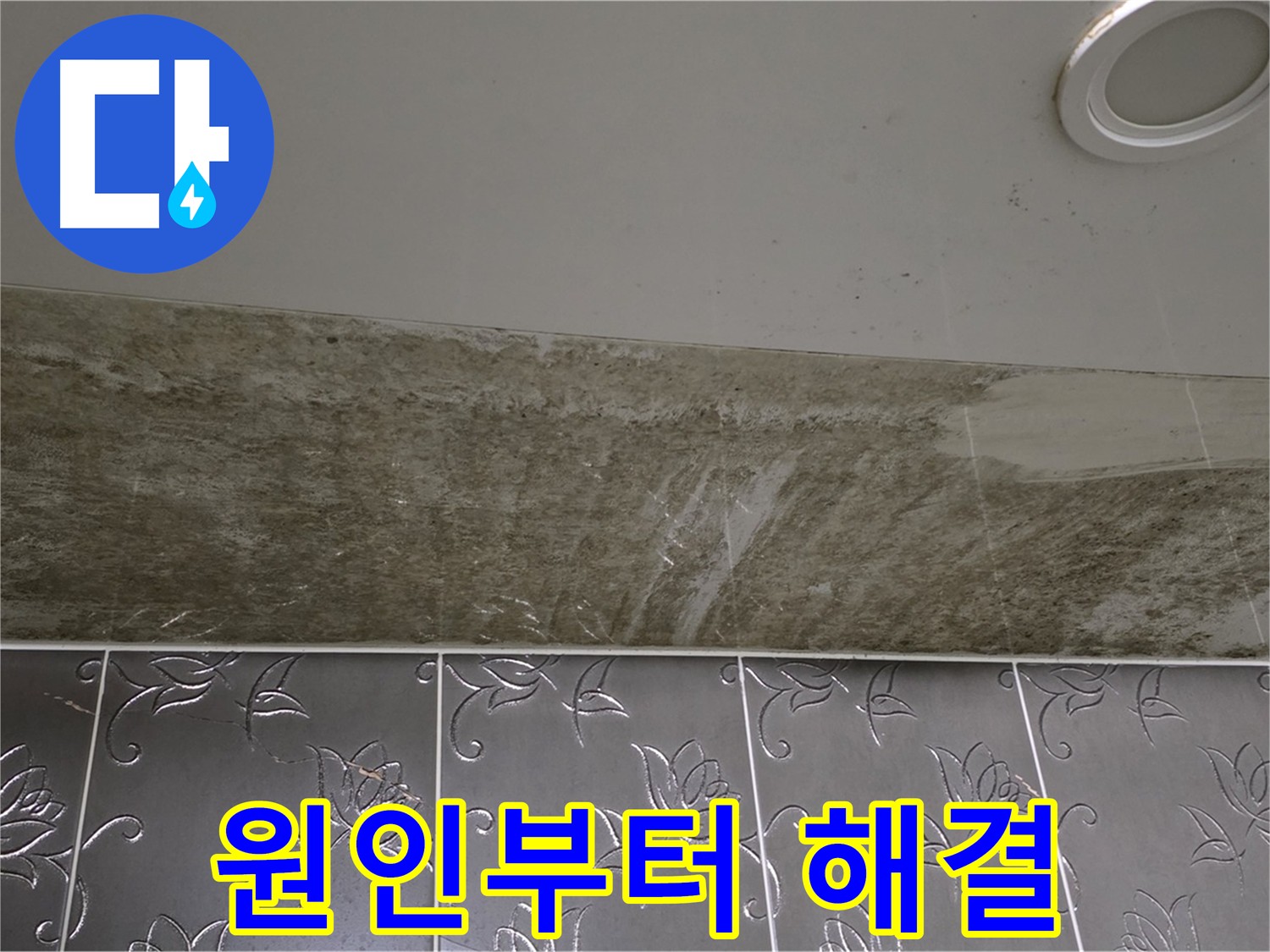화장실 천장 누수 - 곰팡이 발생 원인 탐지