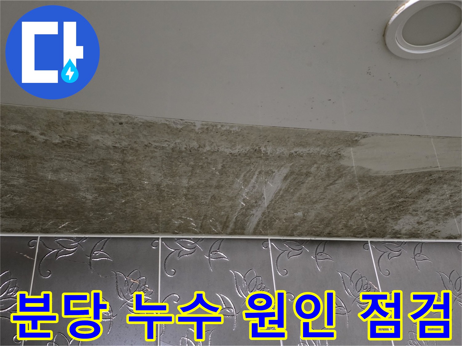 성남시 분당구 아파트 화장실 천장 누수 - 아랫집 누수 흔적 확인 및 윗집 점검구 개방 예정
