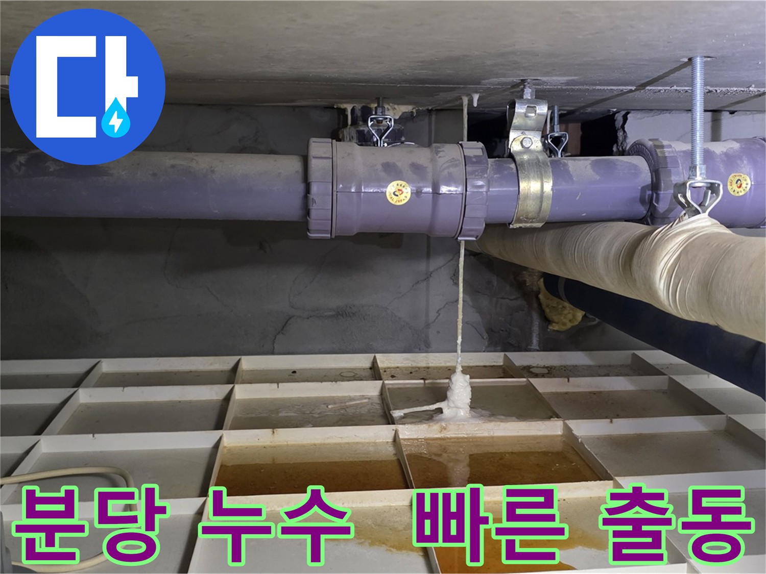 분당 하수 배관 누수 - 친절 상담 및 빠른 출동으로 신속 해결