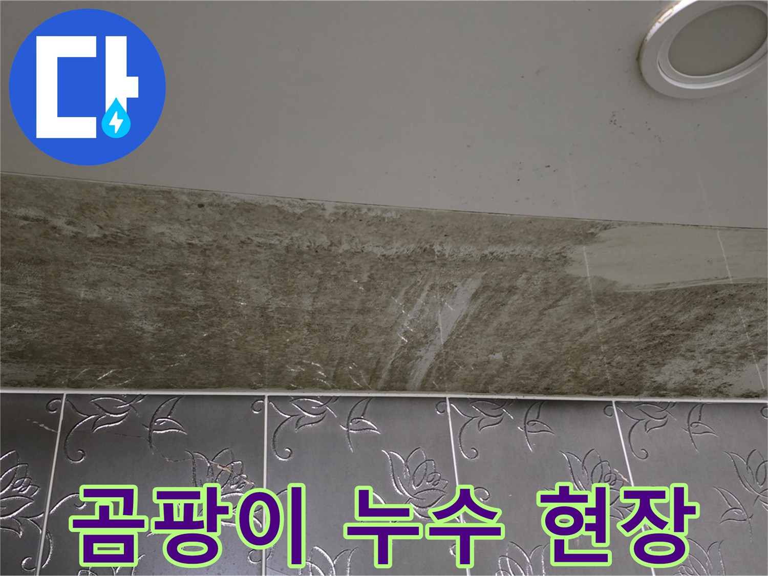 곰팡이 가득한 화장실 천장 - 심각한 누수 현장