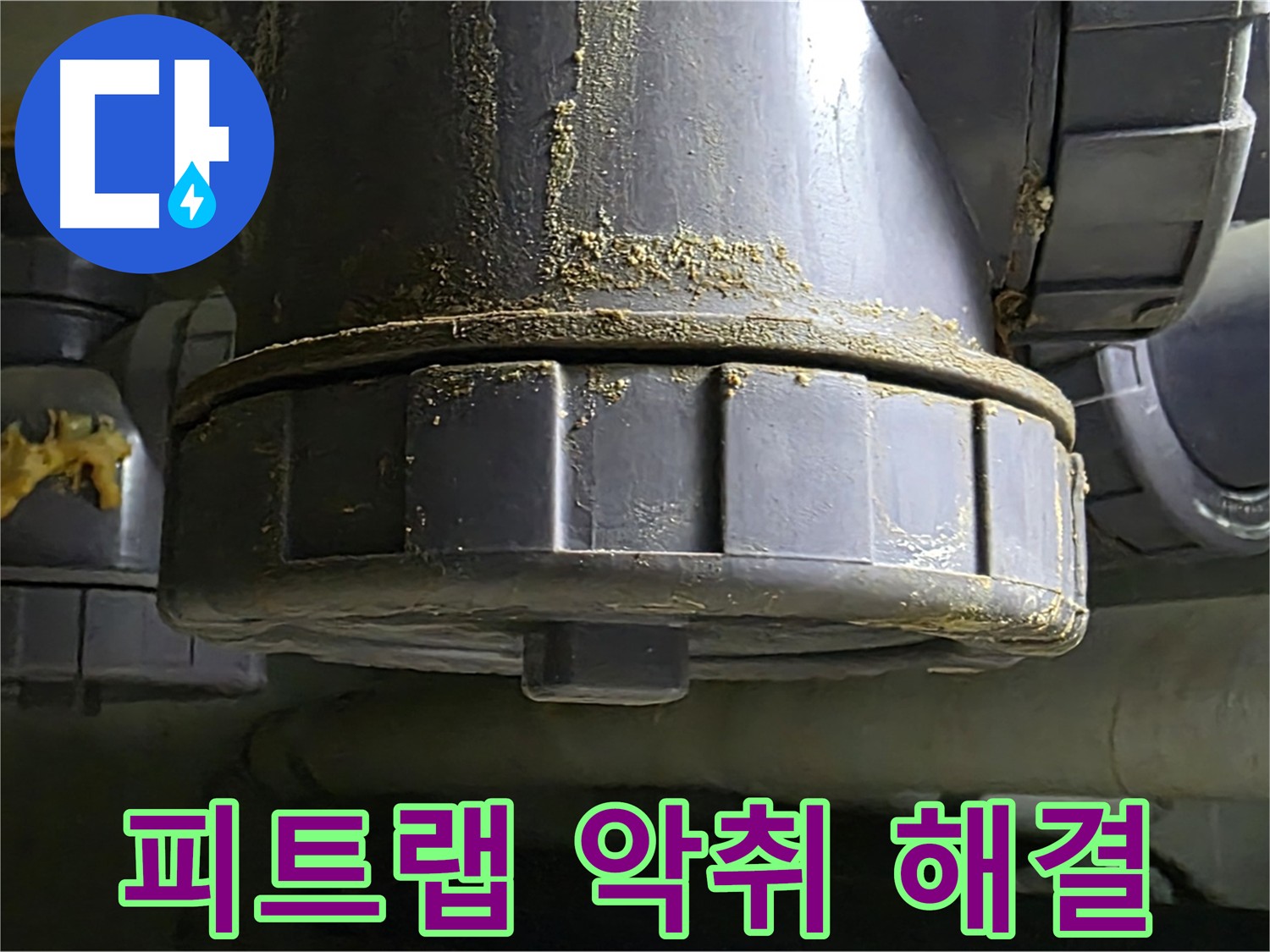 분당 피트랩 누수 - 악취 해결 전문 및 배수 시스템 점검