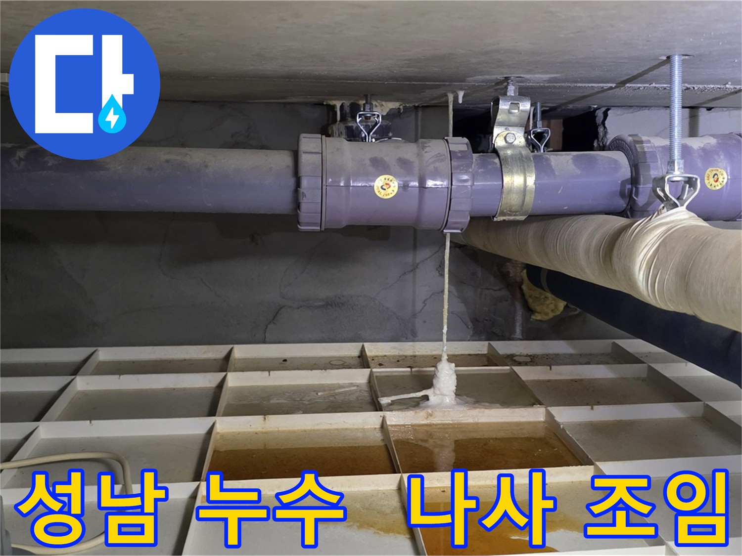 성남 누수 - 배관 연결 나사 풀림, 간단 조치로 빠른 해결