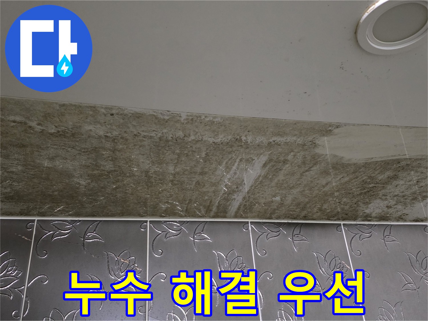 곰팡이 핀 화장실 천장 - 누수 해결이 최우선
