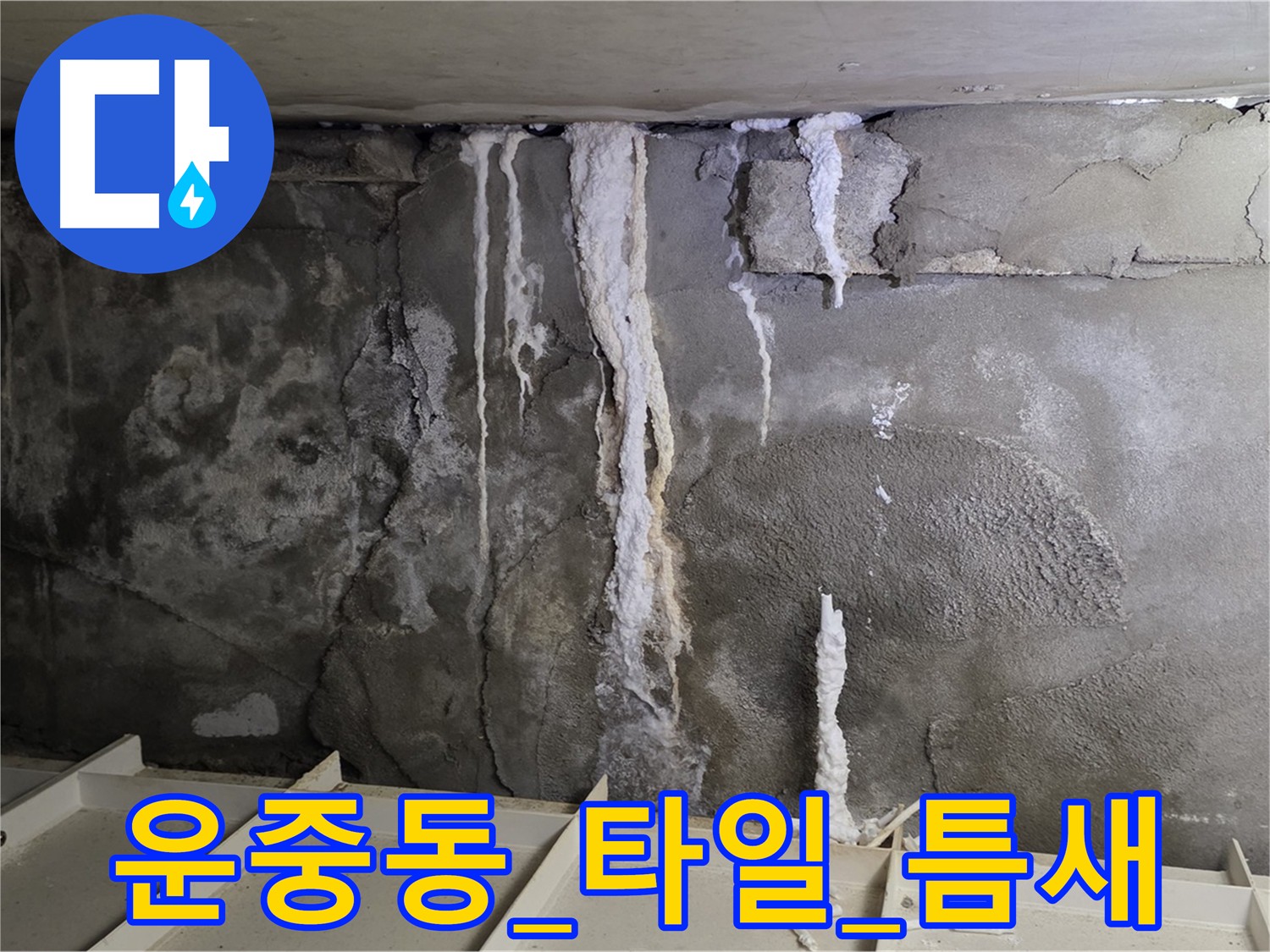 운중동 화장실 벽면 누수 - 타일 틈새 누수 경로