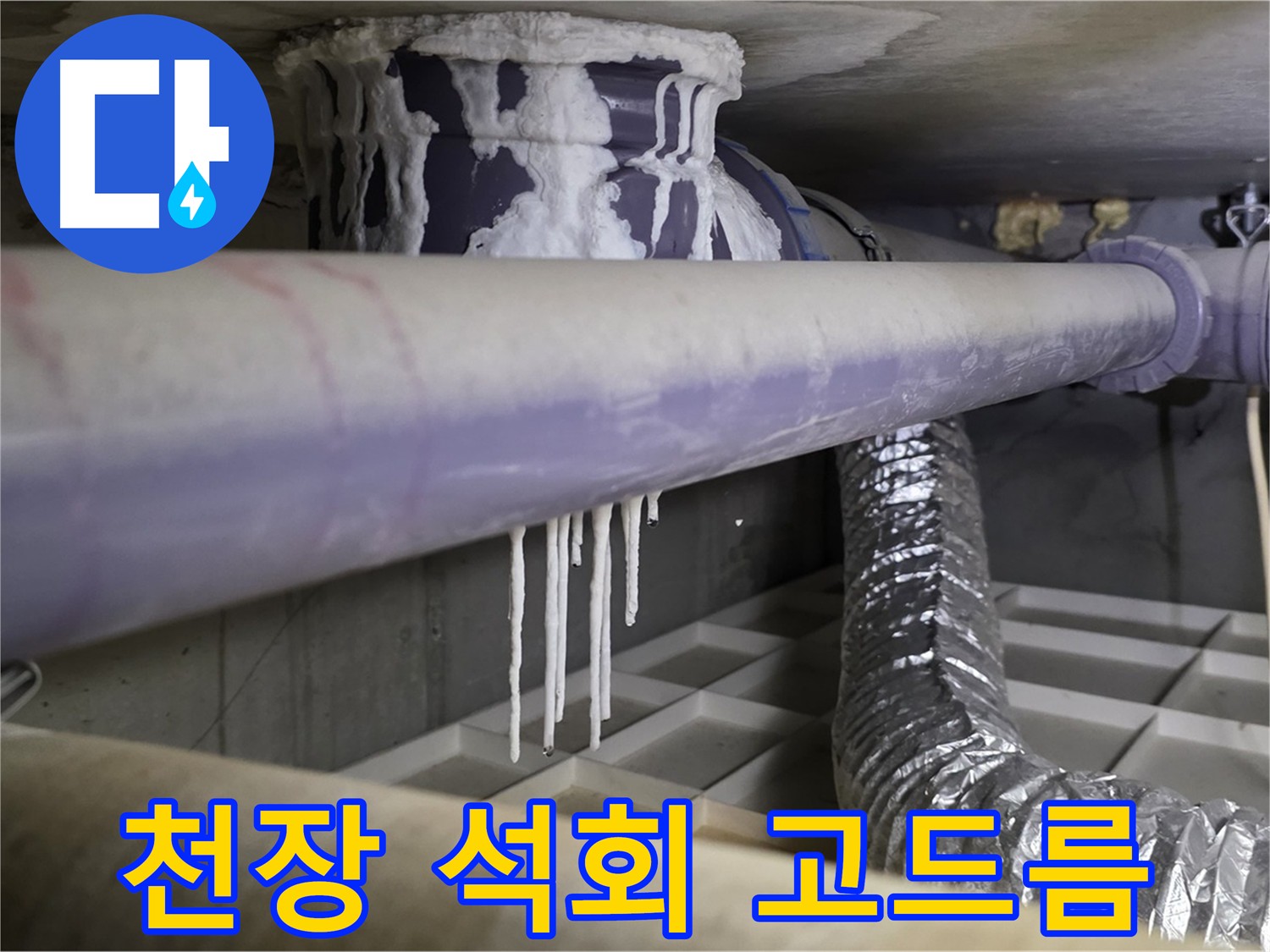 천장에 매달린 석회수 고드름 - 심각한 누수 상태를 경고
