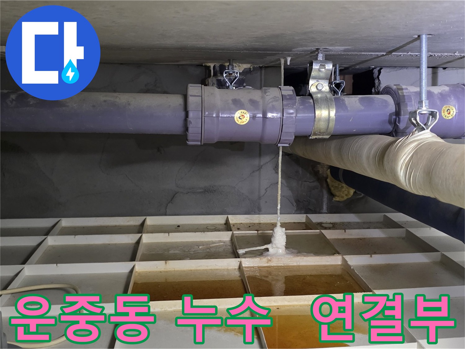 분당구 운중동 배관 연결부 누수 - 긴급 점검 및 빠른 조치 필요