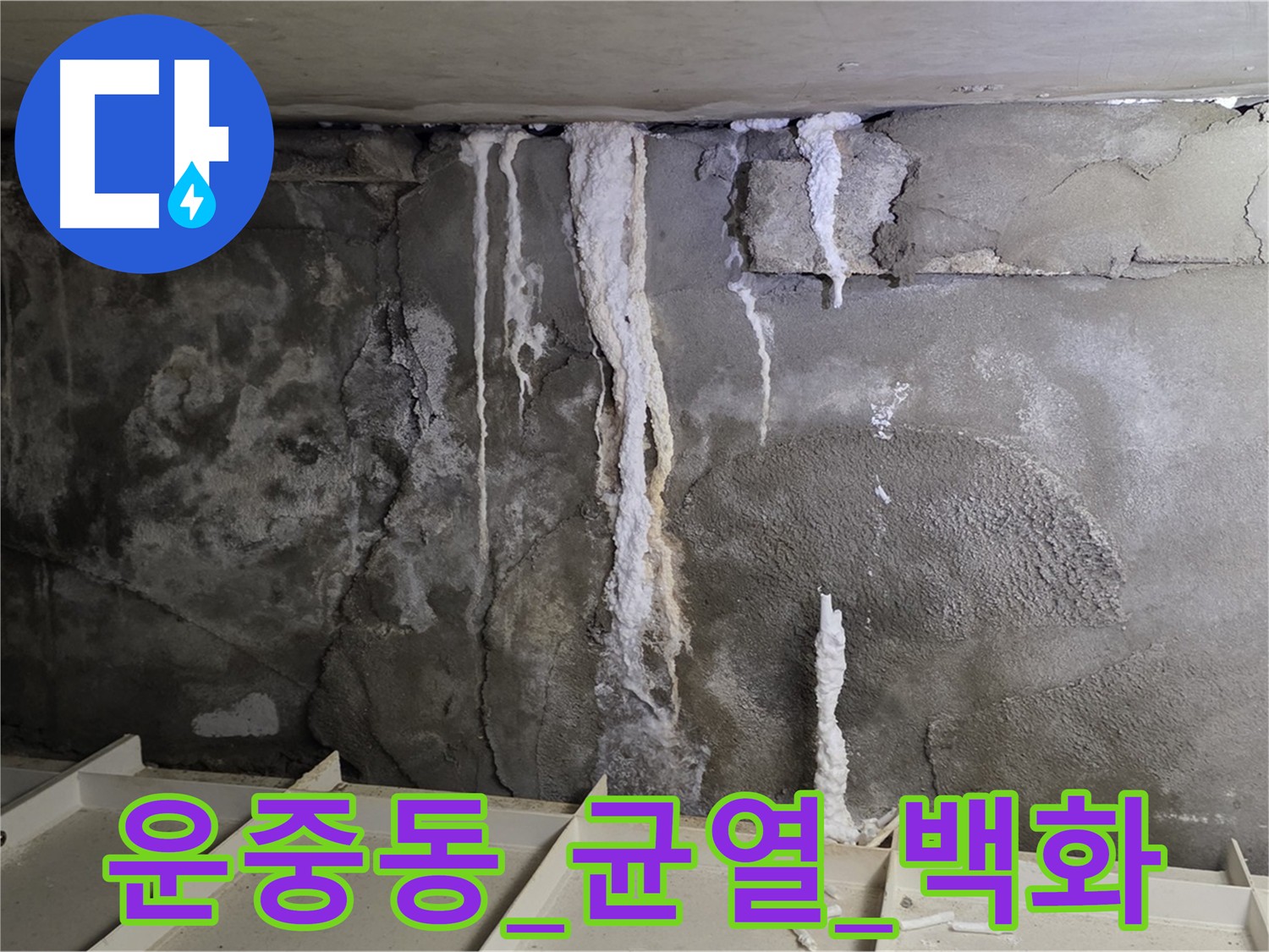 운중동 콘크리트 균열 - 백화현상으로 인한 누수