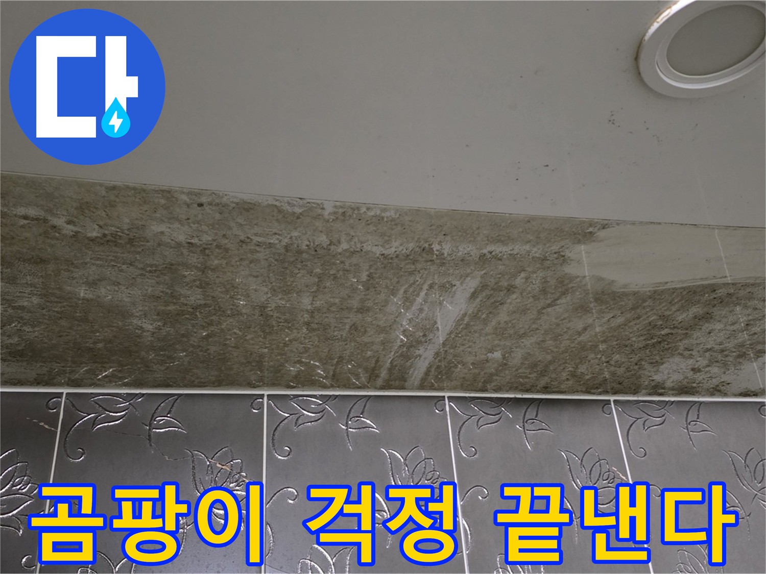 곰팡이 핀 화장실 천장 - 곰팡이 걱정 끝