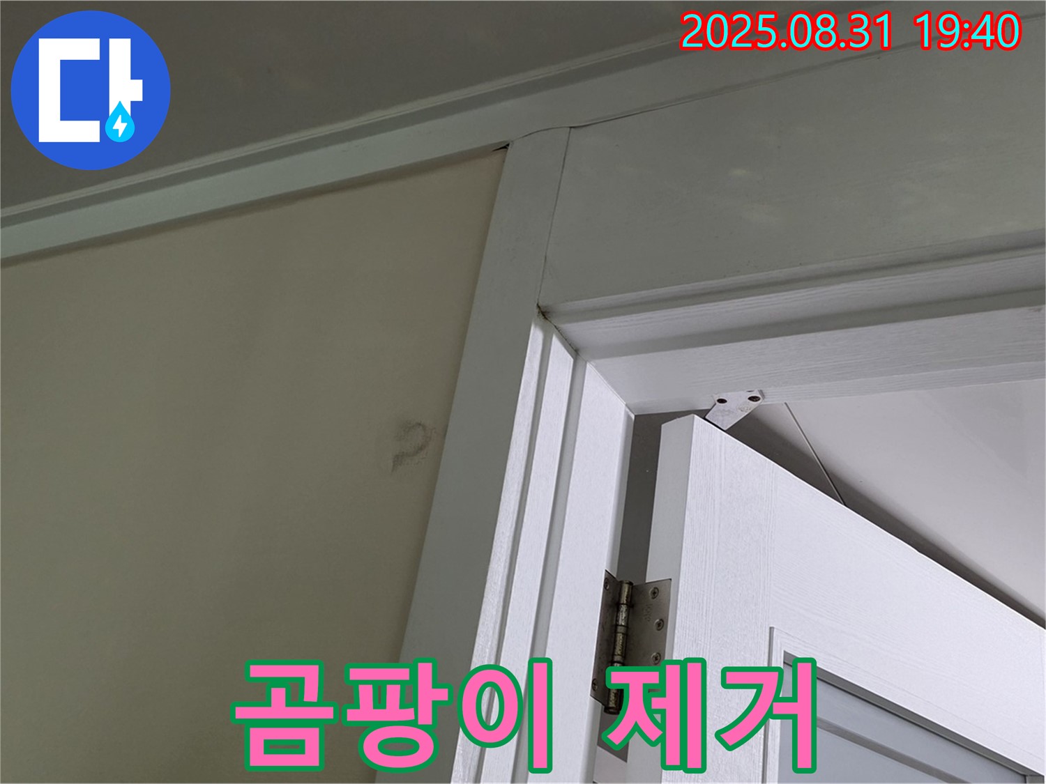 곰팡이 제거 - 문틀 위 천장에 핀 곰팡이를 제거하는 모습입니다.