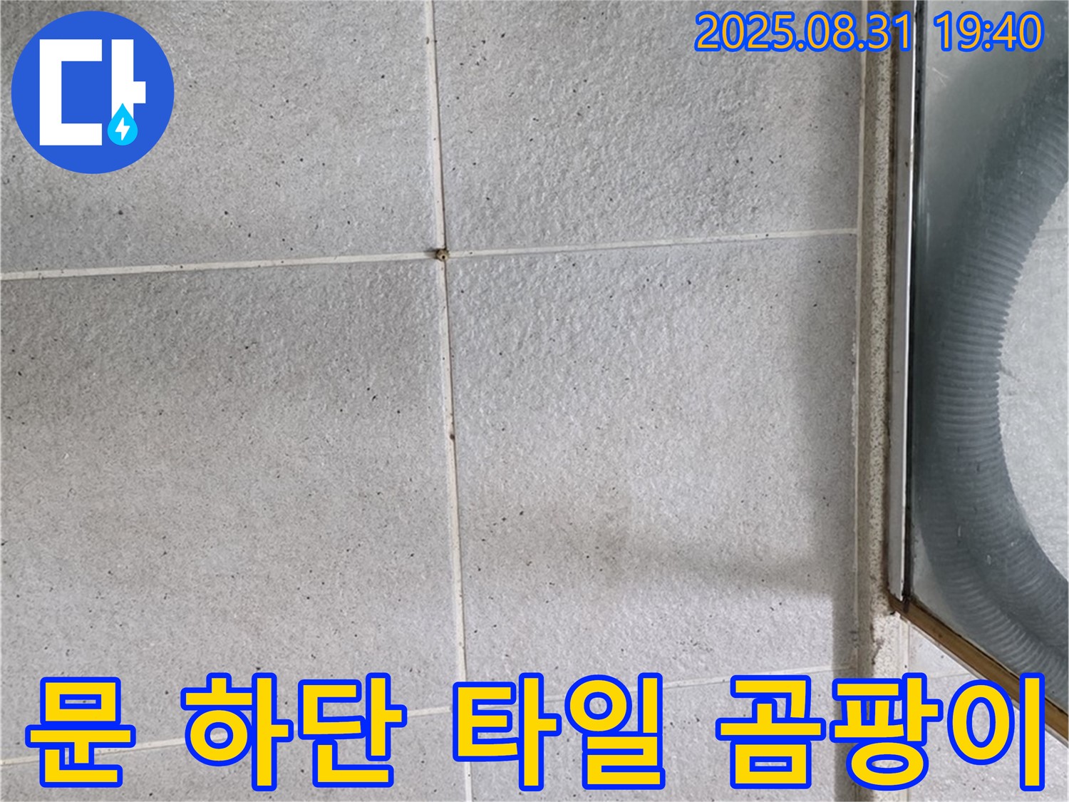 문 하단 타일 곰팡이 - 누수와 곰팡이, 한번에 해결!
