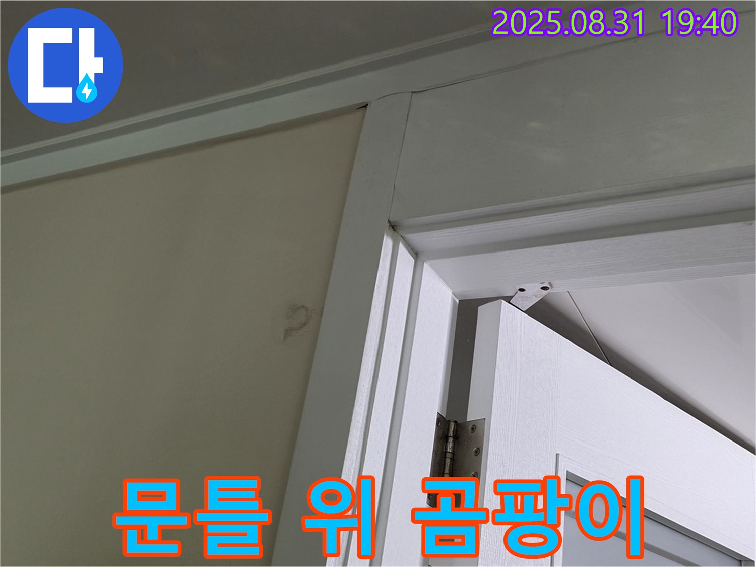 문틀 위 곰팡이 - 문틀 위 천장에 곰팡이가 발생했습니다.