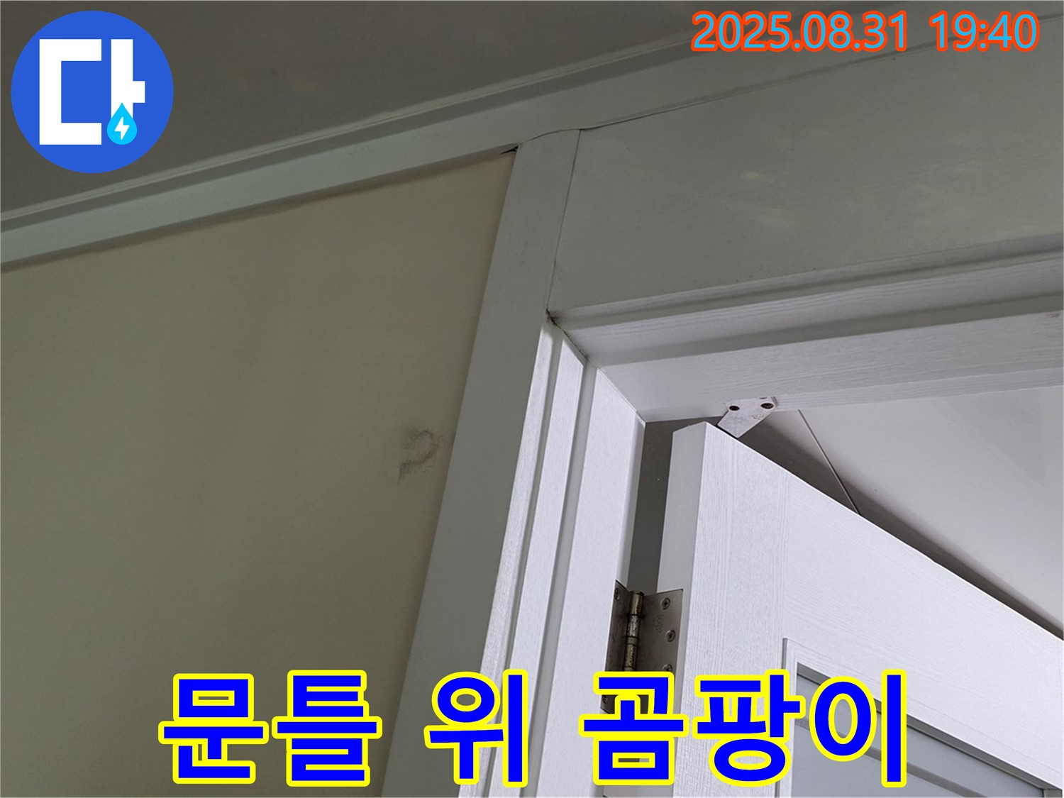문틀 위 곰팡이 - 문틀 위 천장에 곰팡이가 피어 있습니다.