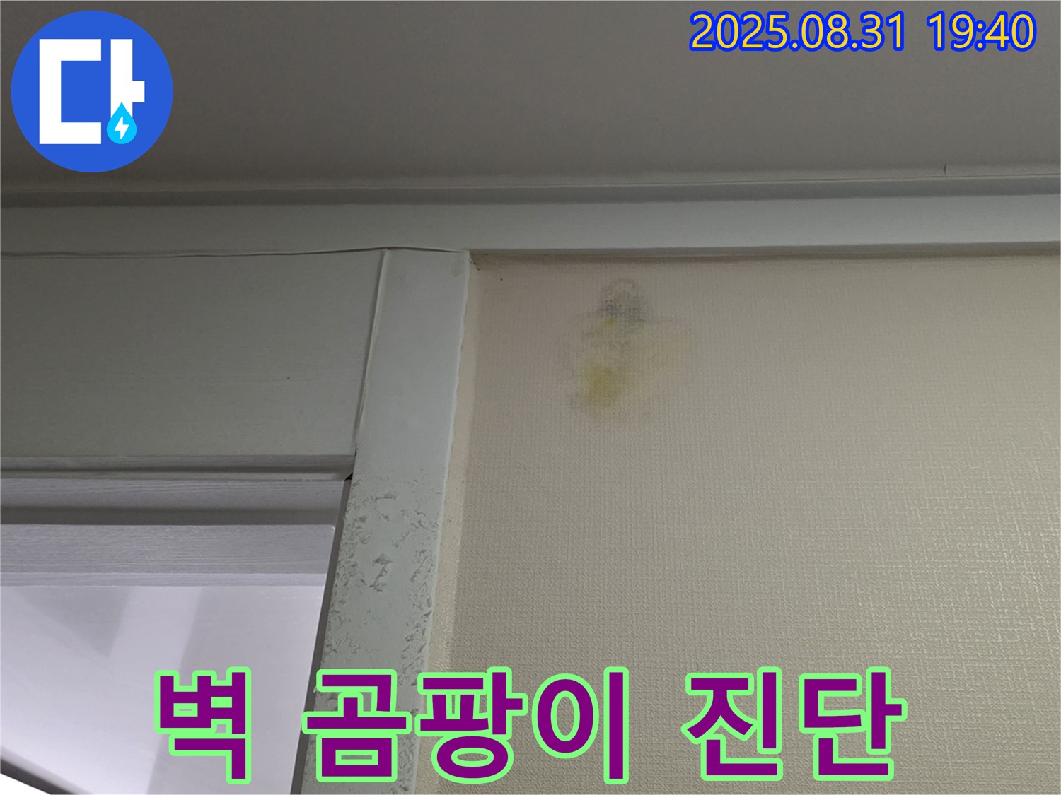 벽 곰팡이 진단 - 분당 산운로 누수 - 꼼꼼한 해결