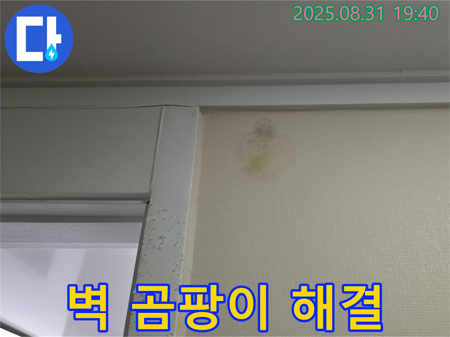 벽 곰팡이 해결 - 성남 분당 산운마을 누수 - 고객 만족