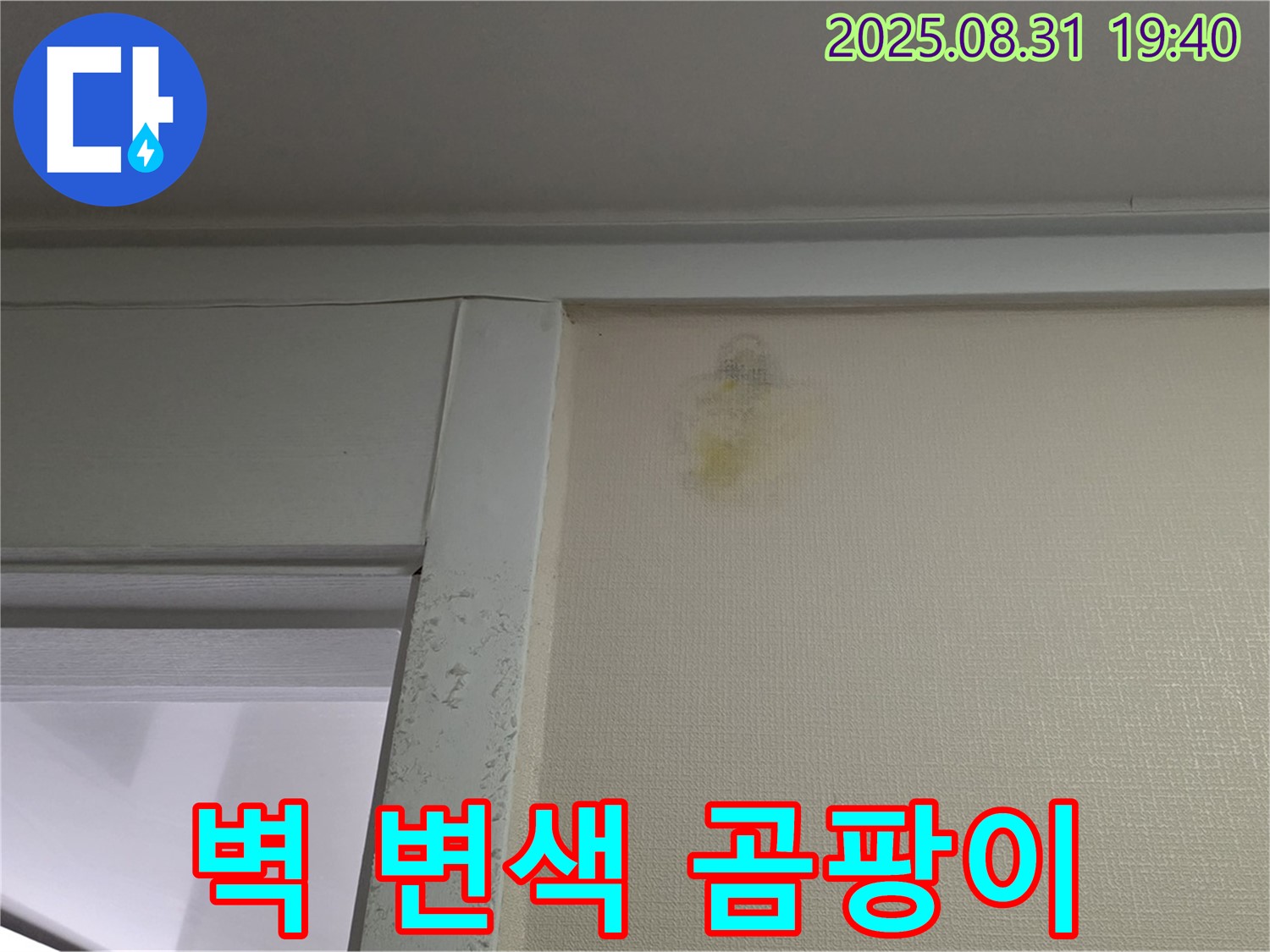 벽 변색 곰팡이 - 누수 의심 - 분당 산운로 누수