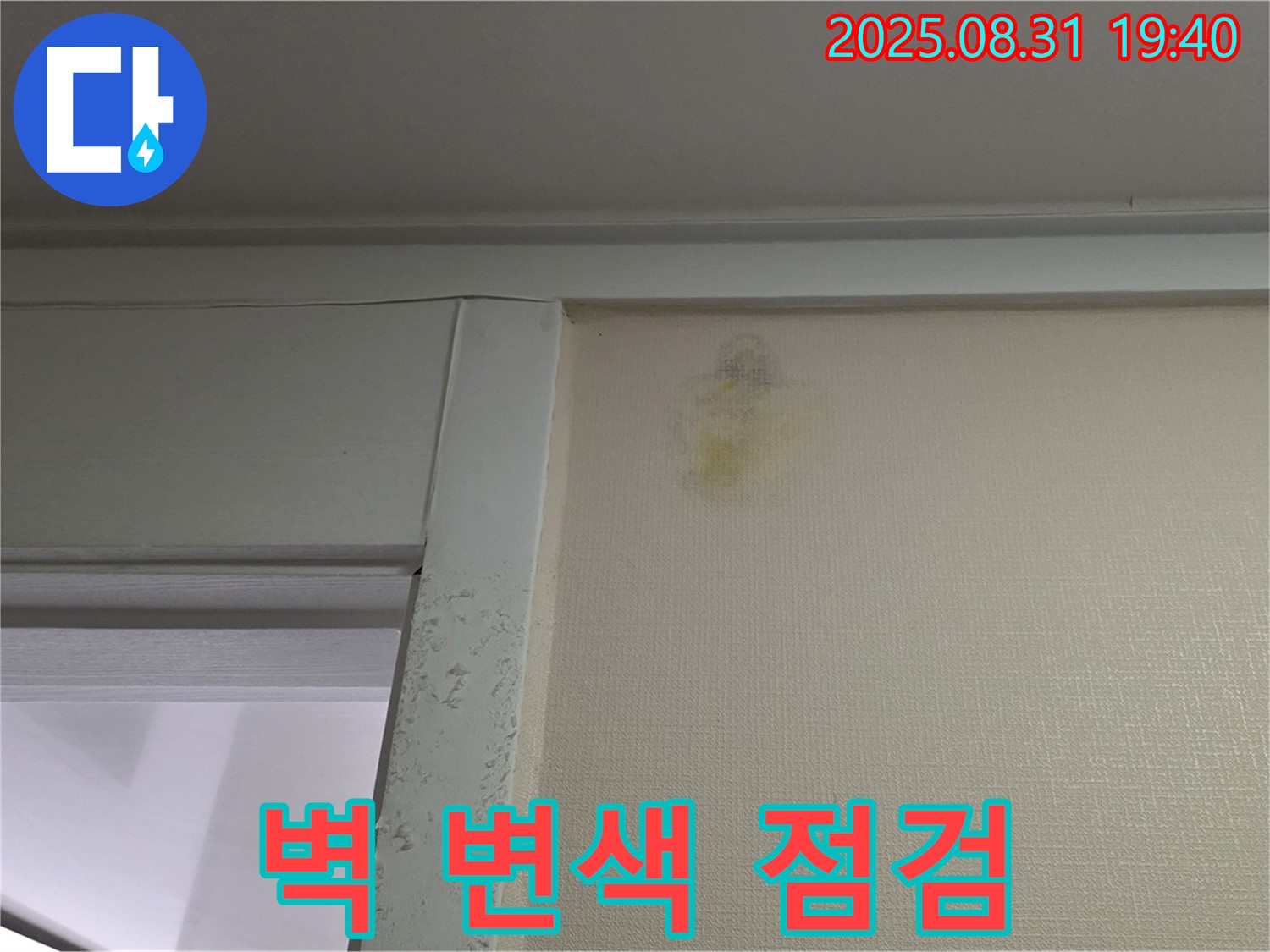 벽 변색 - 꼼꼼한 점검 - 분당 산운로 누수