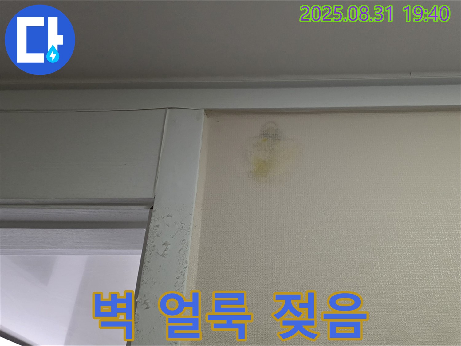 벽 얼룩 - 젖음 - 분당 산운로 누수