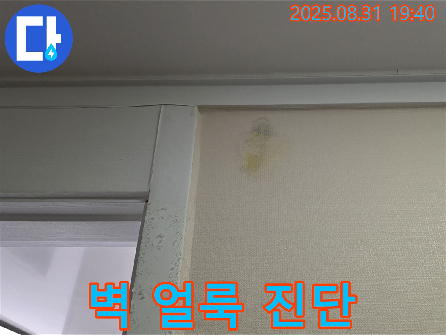 벽 얼룩 진단 - 분당 산운로 누수 - 꼼꼼한 해결