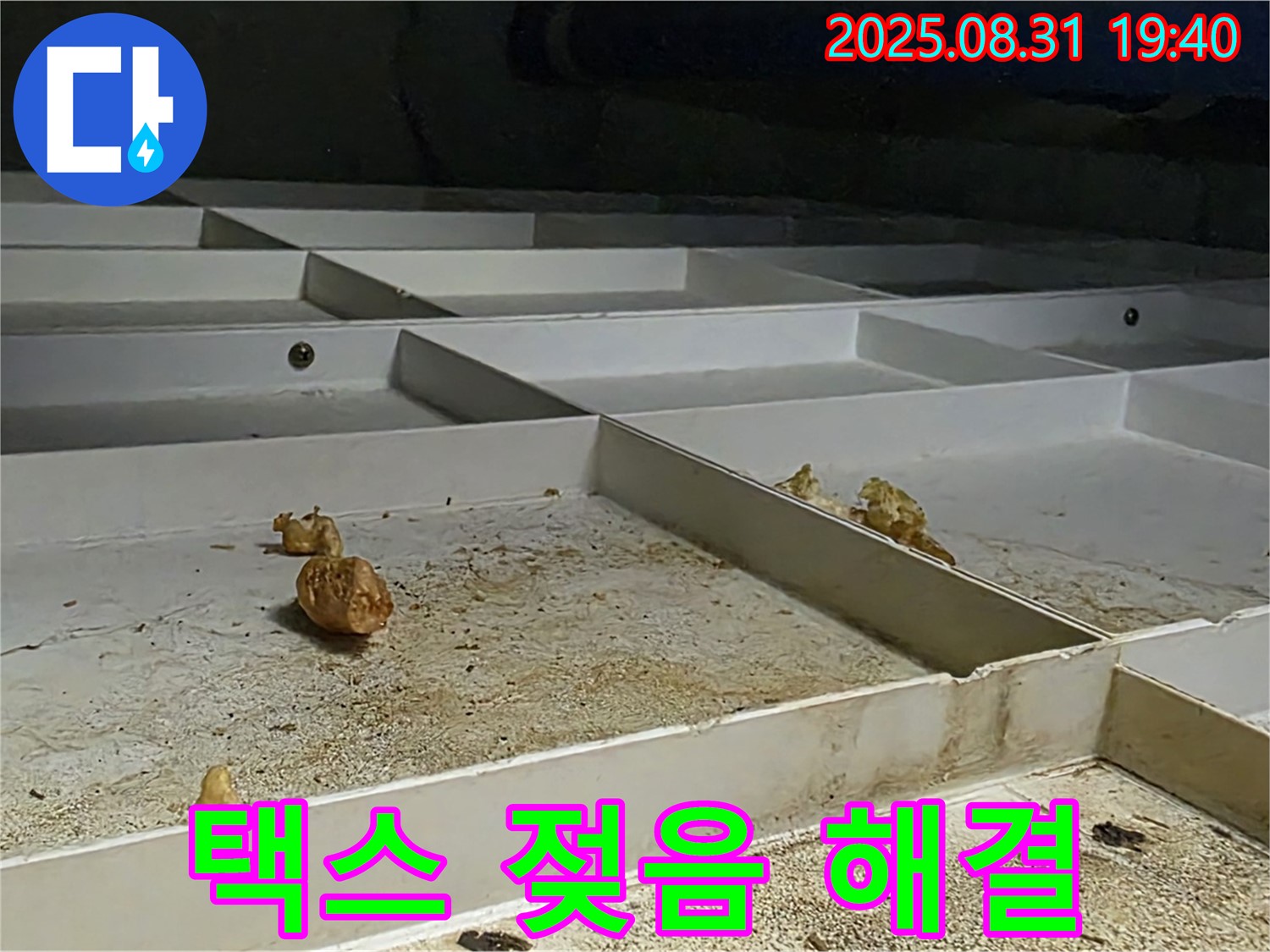 분당 구미동 천장 누수 - 택스 젖음 문제 신속하게 해결