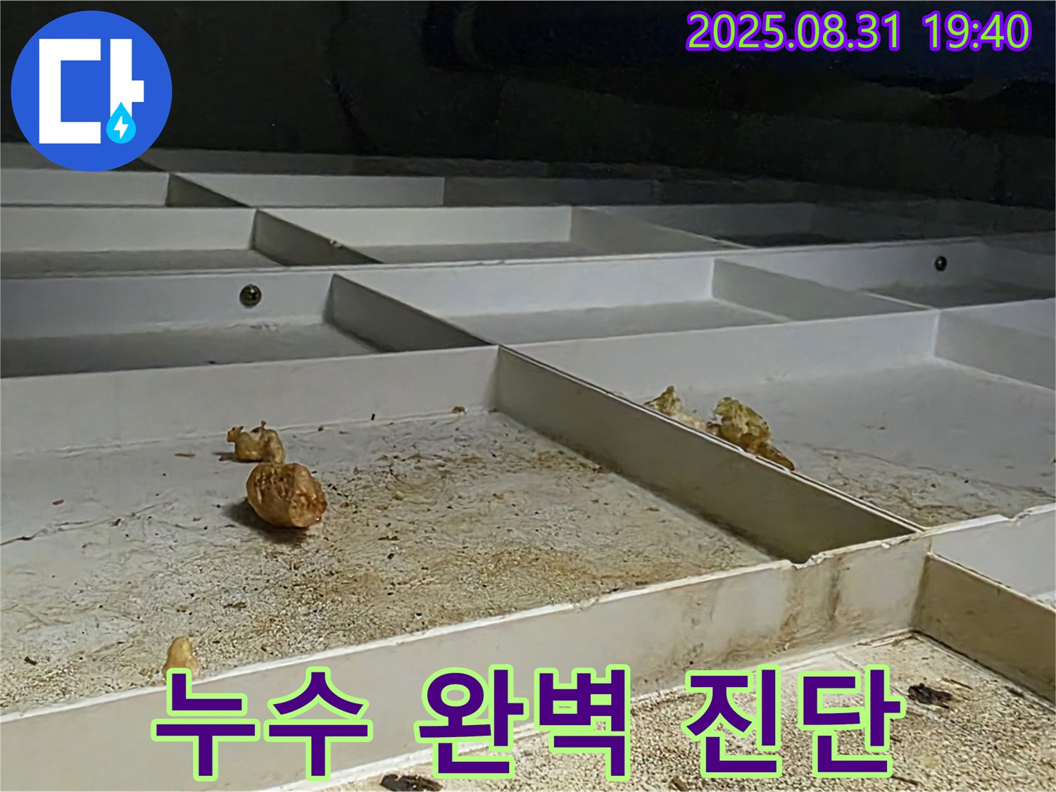 분당 누수 - 산운로 누수 문제 완벽 진단