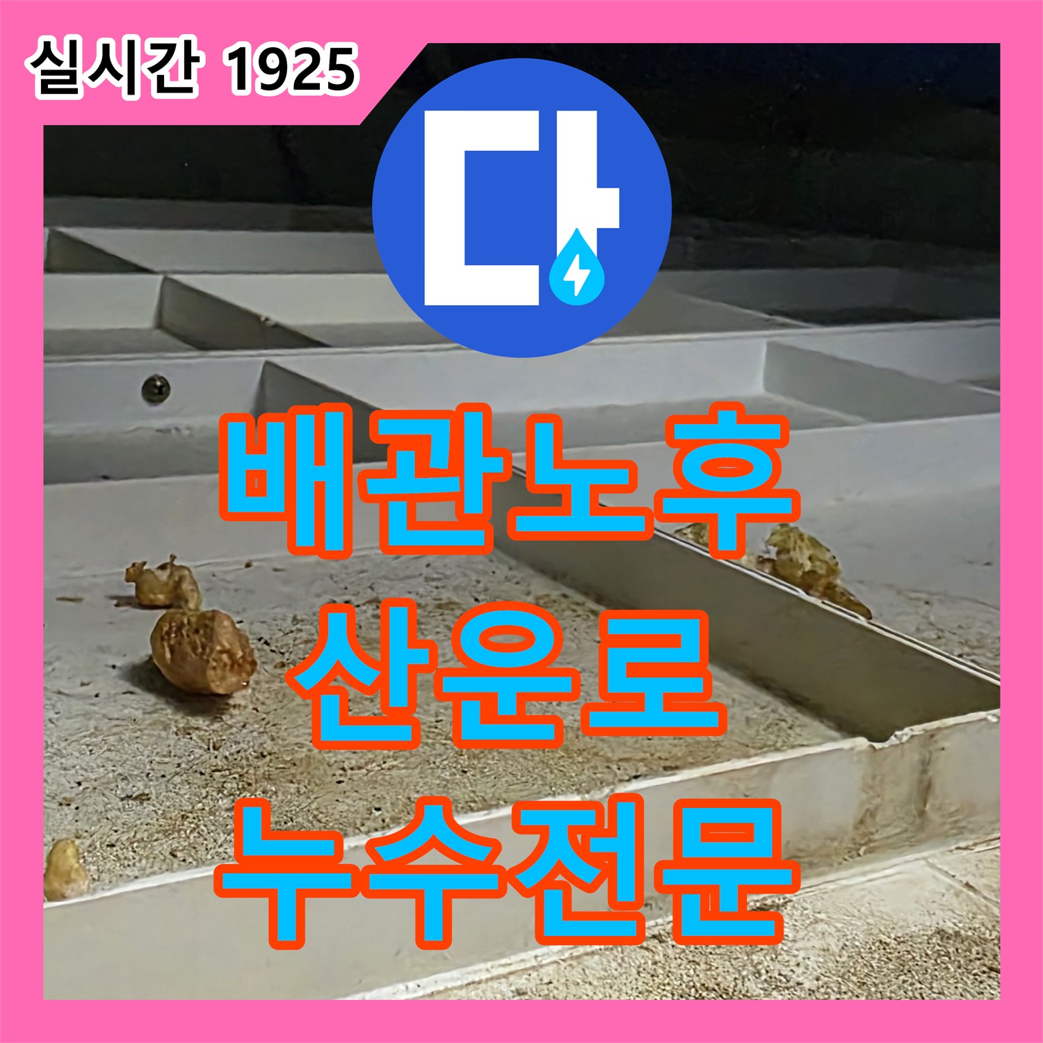 분당 누수전문, 산운로 배관 노후 누수 신속 해결
