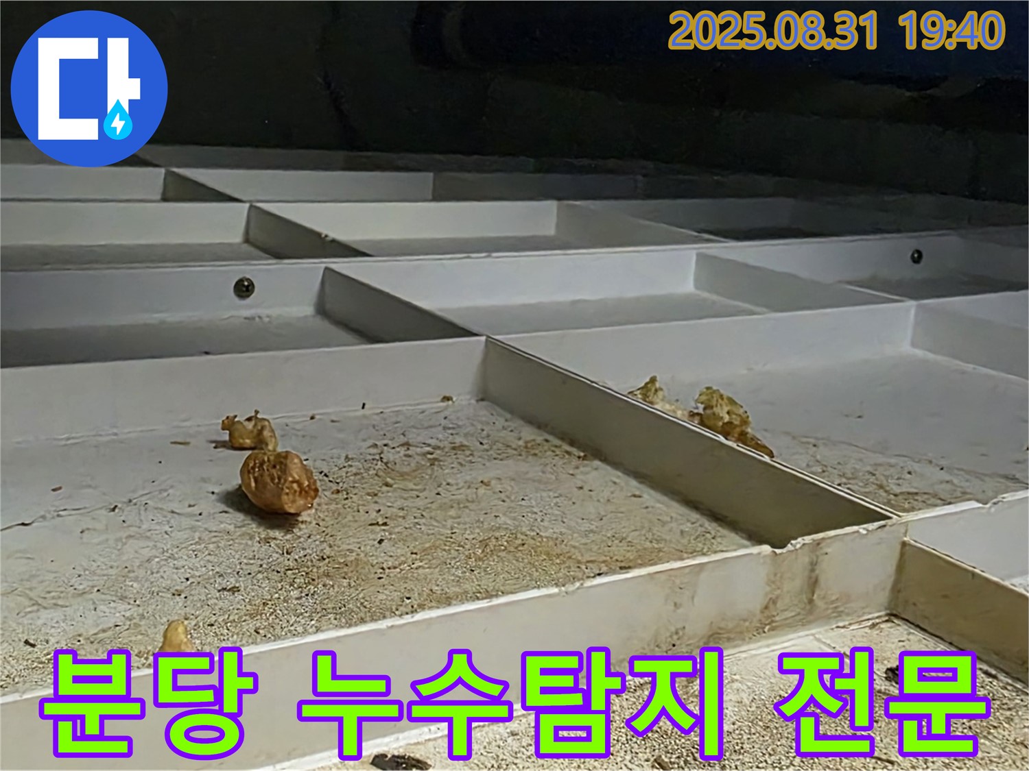 분당 누수탐지 전문 업체 - 산운마을 누수 문제 해결 과정