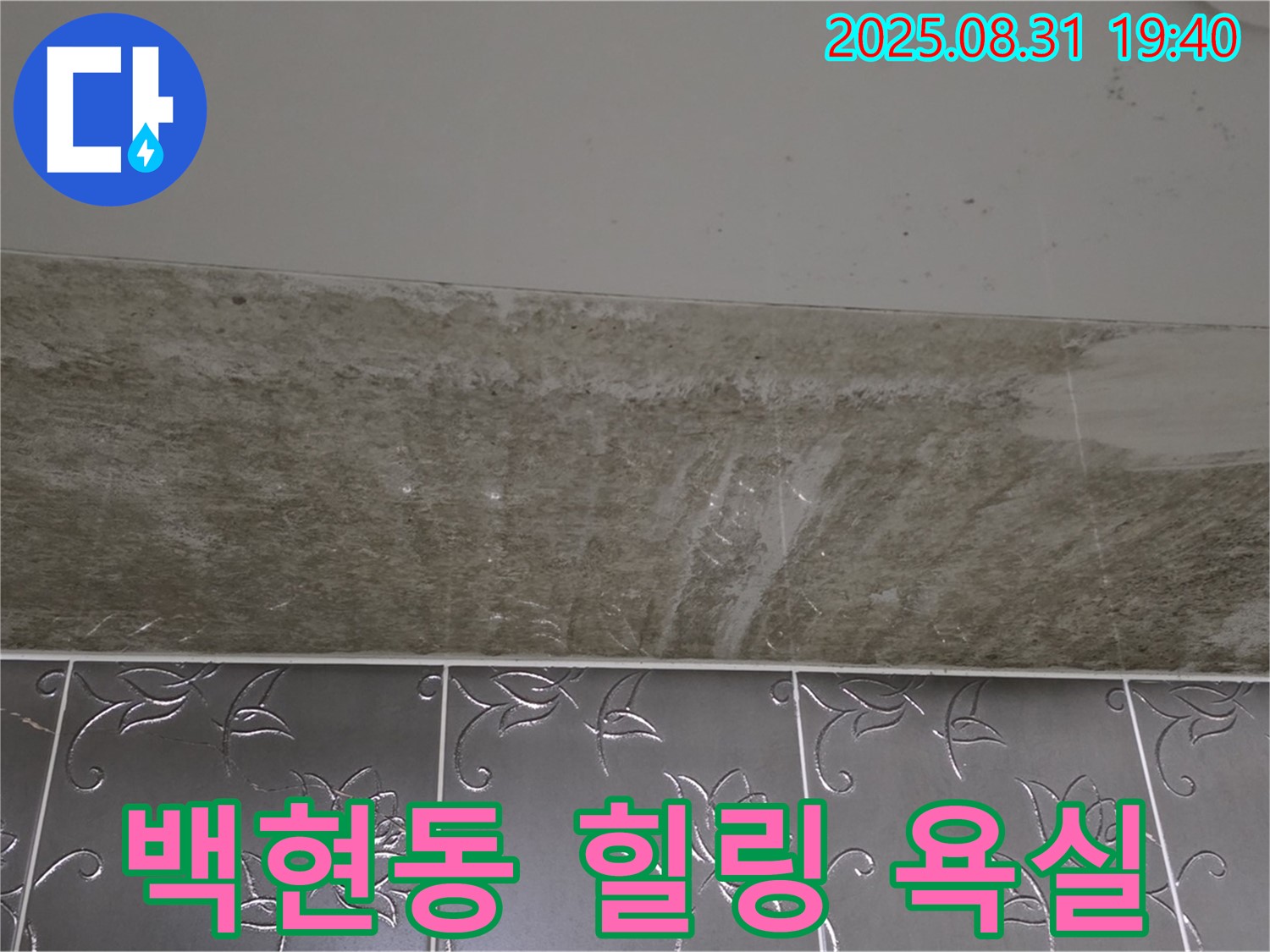 분당 백현동 욕실 곰팡이 - 깨끗한 욕실에서 힐링하세요!
