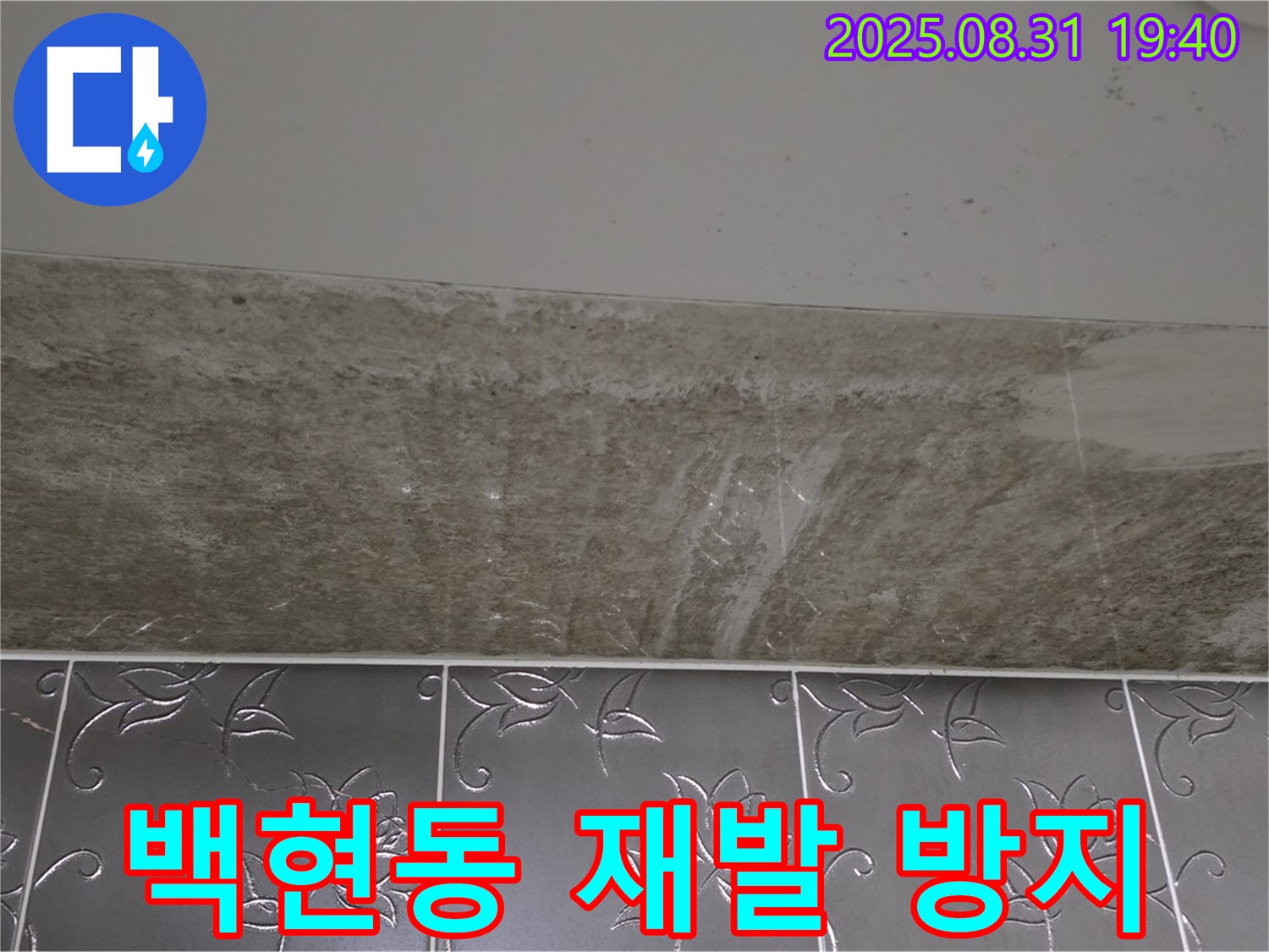 분당 백현동 욕실 곰팡이 - 재발 방지 시공으로 안심!