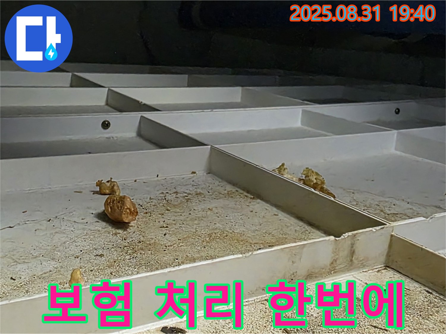 분당 산운로 누수 - 누수 보험 처리까지 한번에