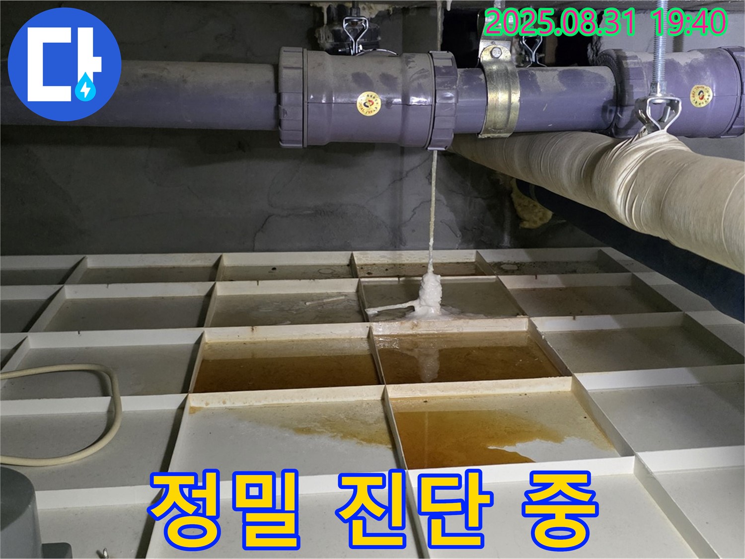 분당 산운로 누수 - 정밀 진단으로 숨은 누수 원인 파악