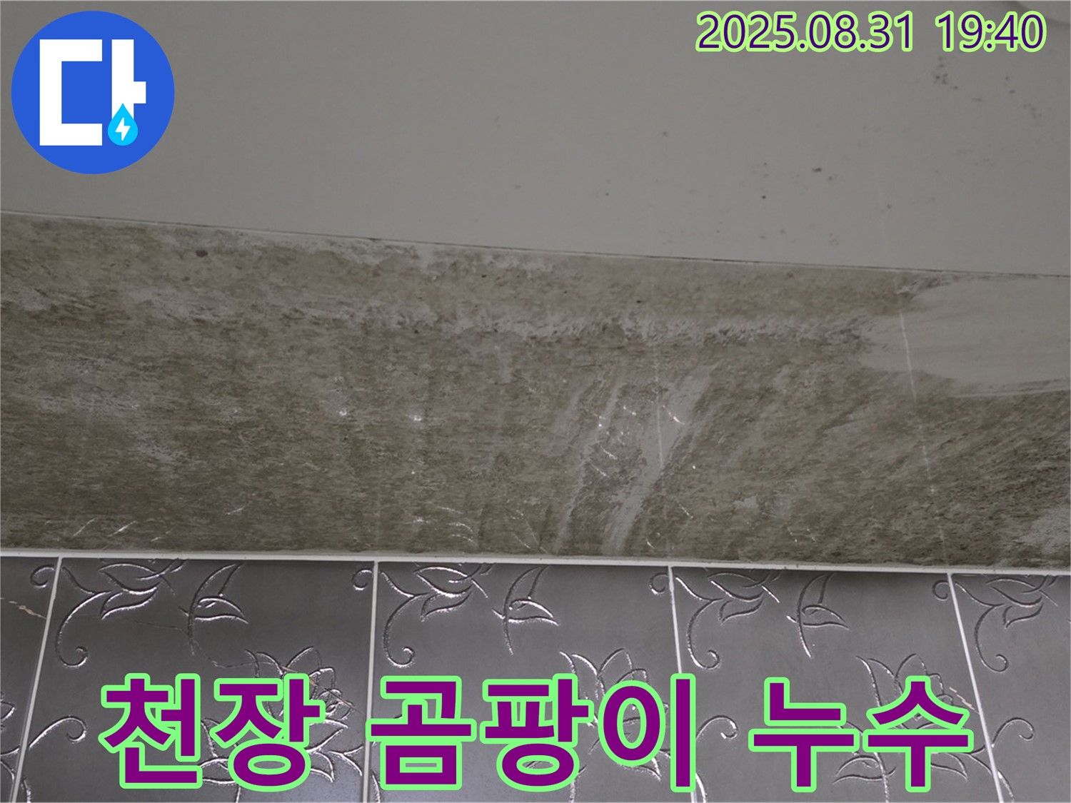 분당 산운로 욕실 천장 곰팡이 - 누수 해결과 곰팡이 제거 과정