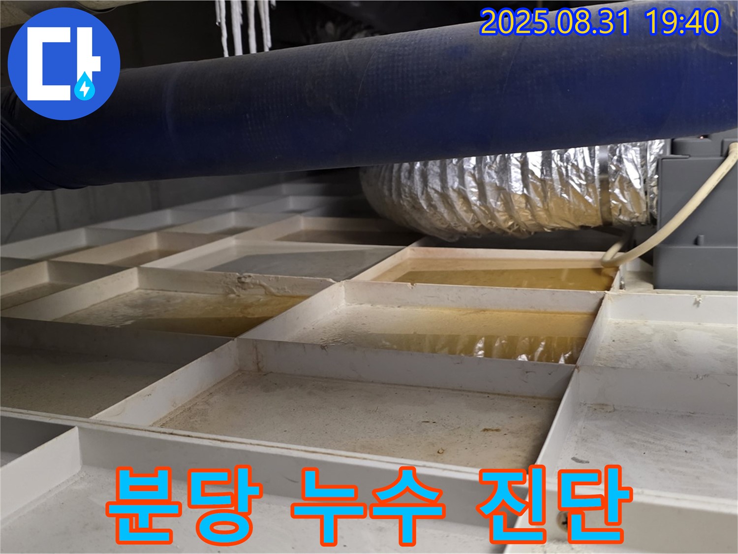 분당 산운마을 누수 - 꼼꼼한 누수 진단 과정