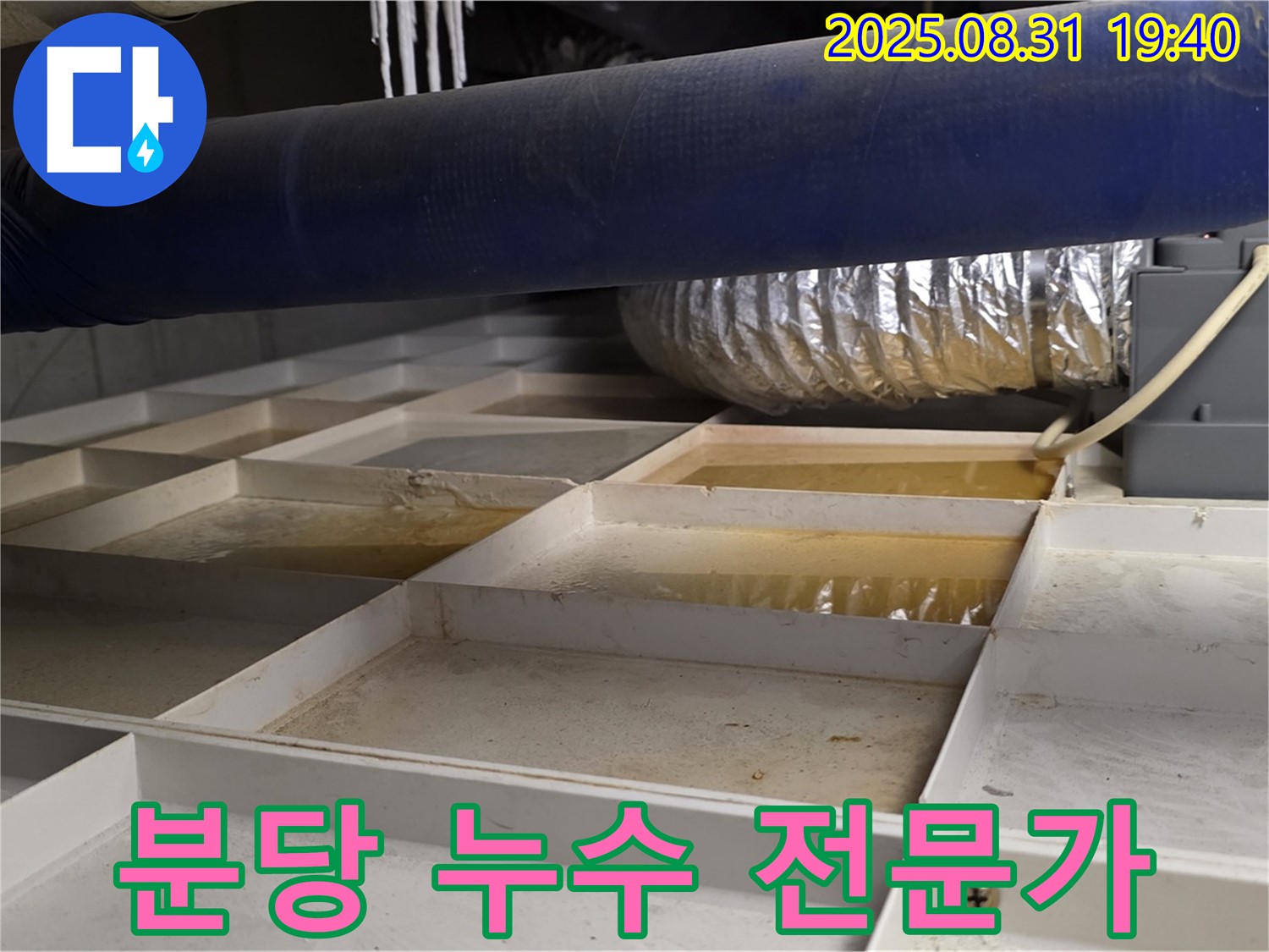 분당 산운마을 누수 - 전문가의 누수 해결 과정