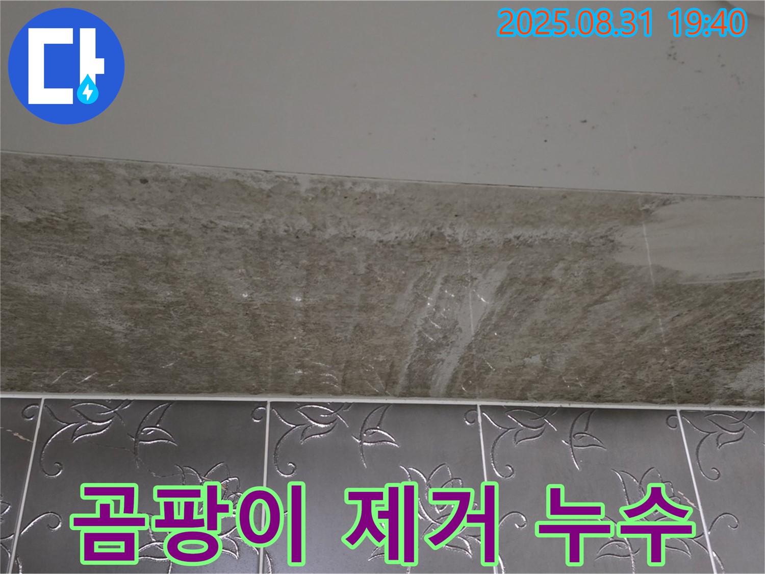 분당 산운마을 욕실 천장 누수 - 곰팡이 제거와 누수 해결 과정